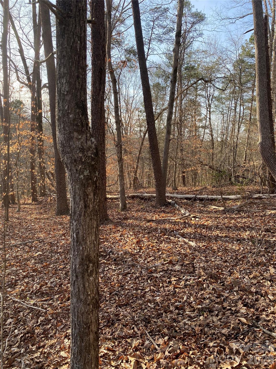 Acreage at 0 Hugh Champion Road, Tryon, photo 3 of 5