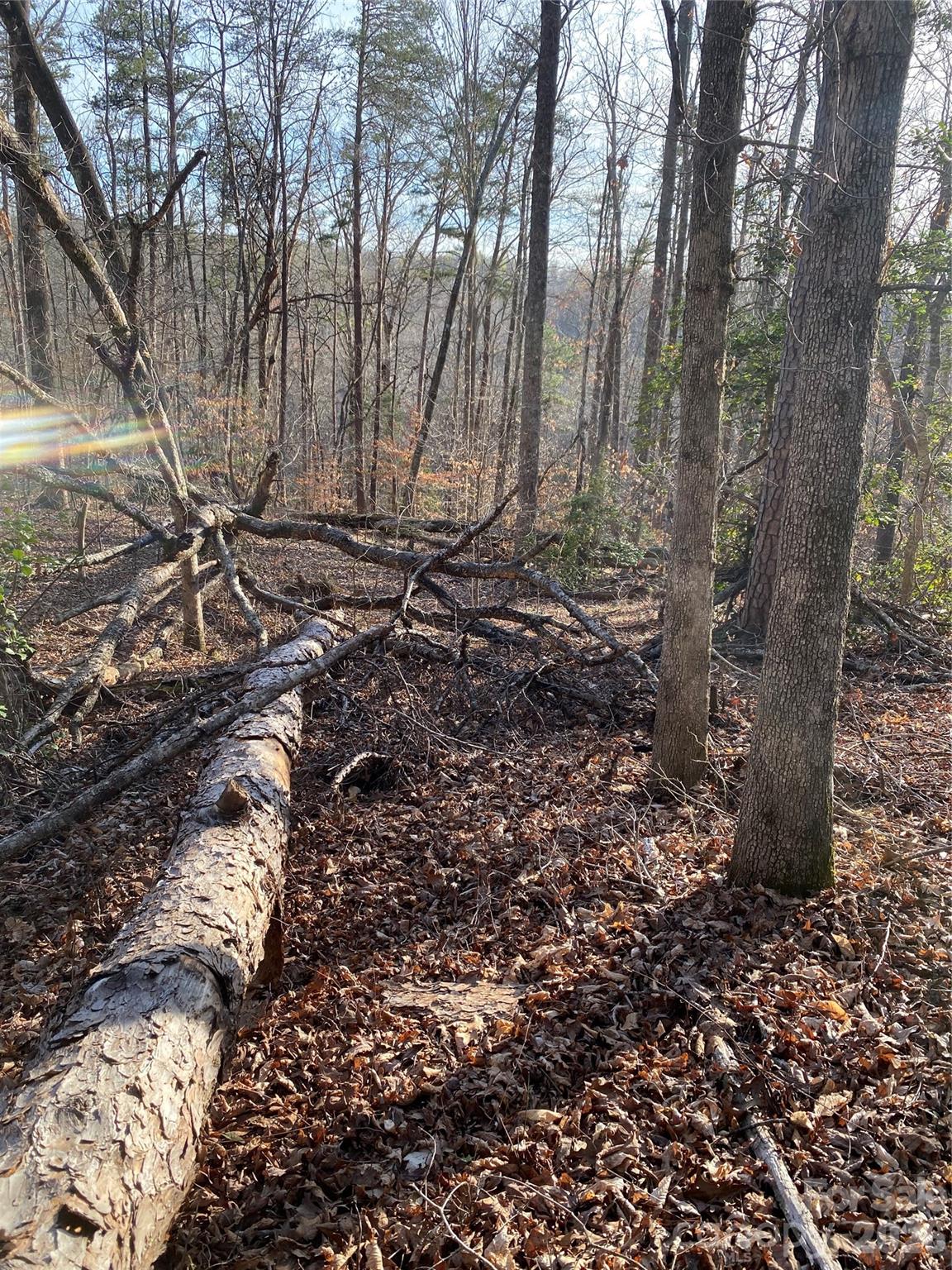 Acreage at 0 Hugh Champion Road, Tryon, photo 4 of 5