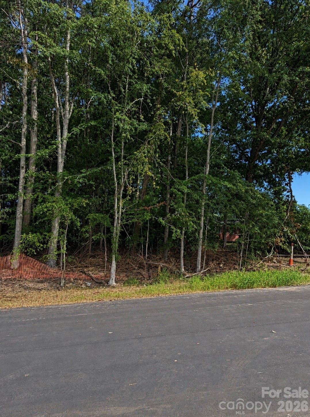 Lot at 13025 Ethelyn Circle, Huntersville, photo 4 of 5