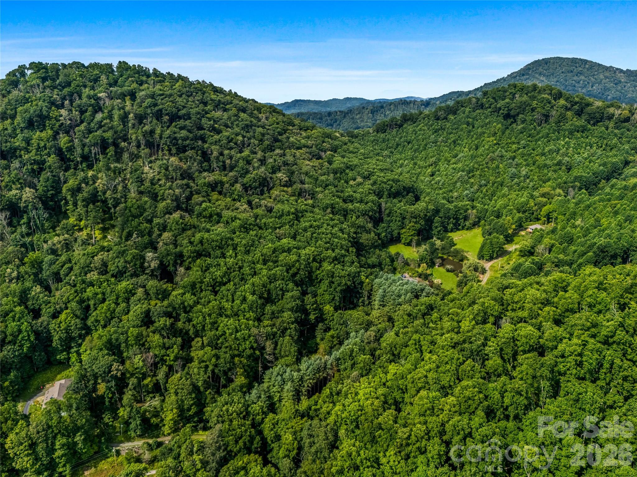 Lush and green mountains of WNC - 81 Summer Trees Lane, Burnsville