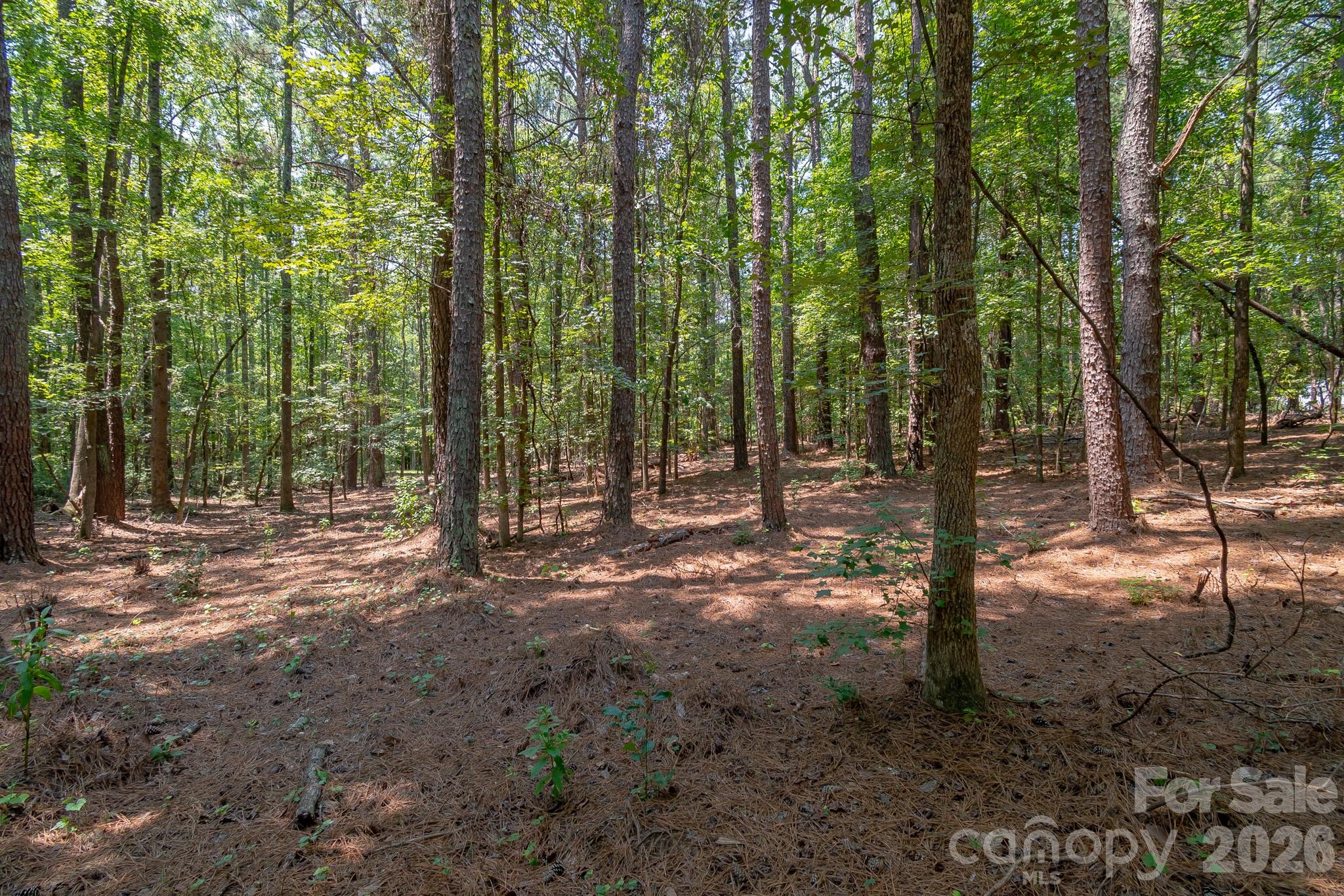 Sparse clearing at front - 5316 Rehobeth Road, Waxhaw