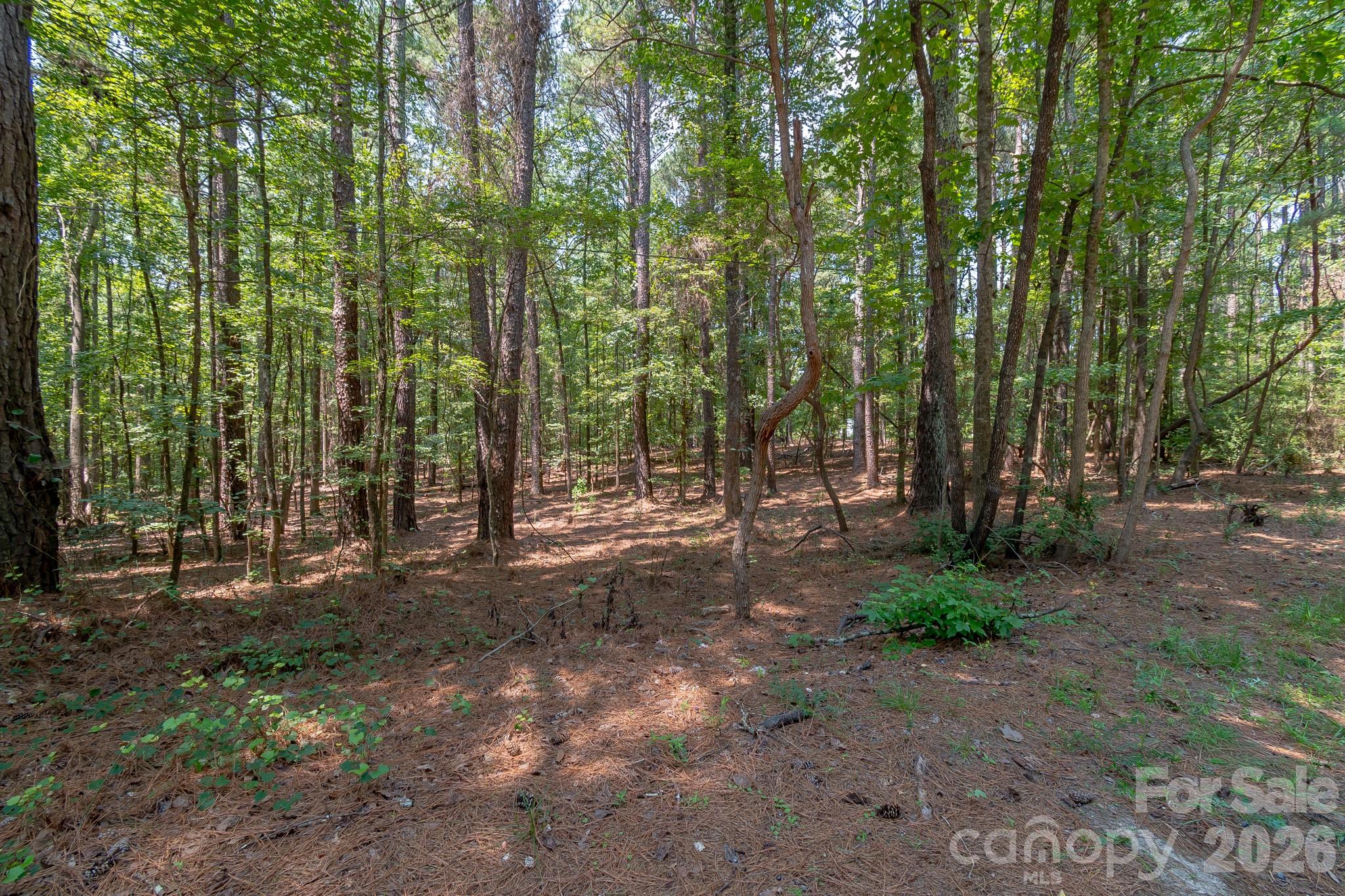 Lot at 5316 Rehobeth Road, Waxhaw, photo 17 of 25