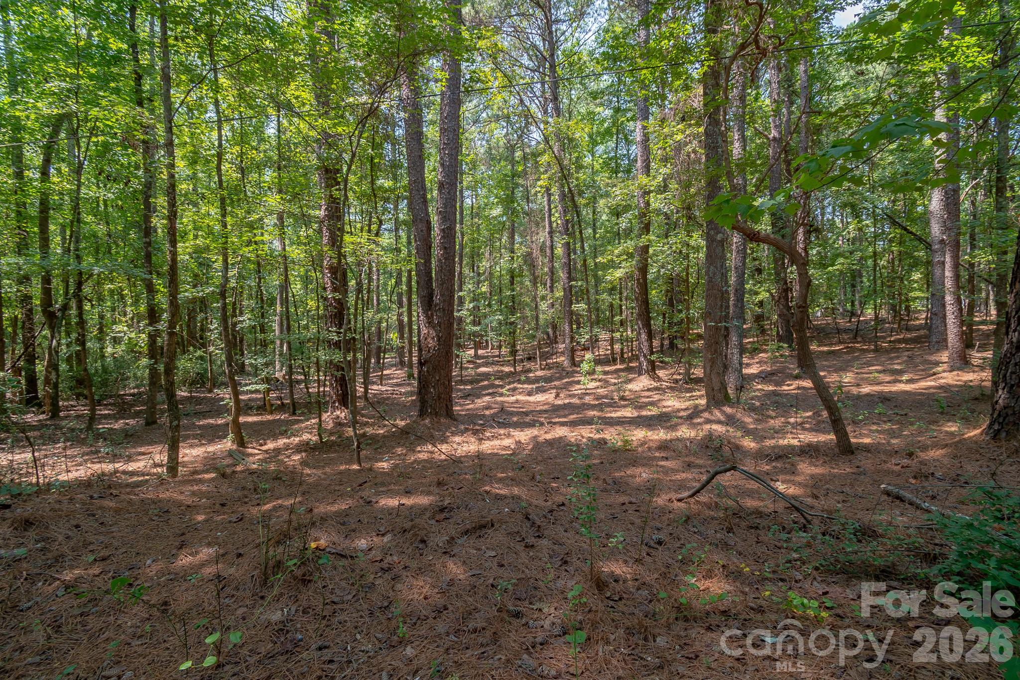 Lot at 5316 Rehobeth Road, Waxhaw, photo 18 of 25