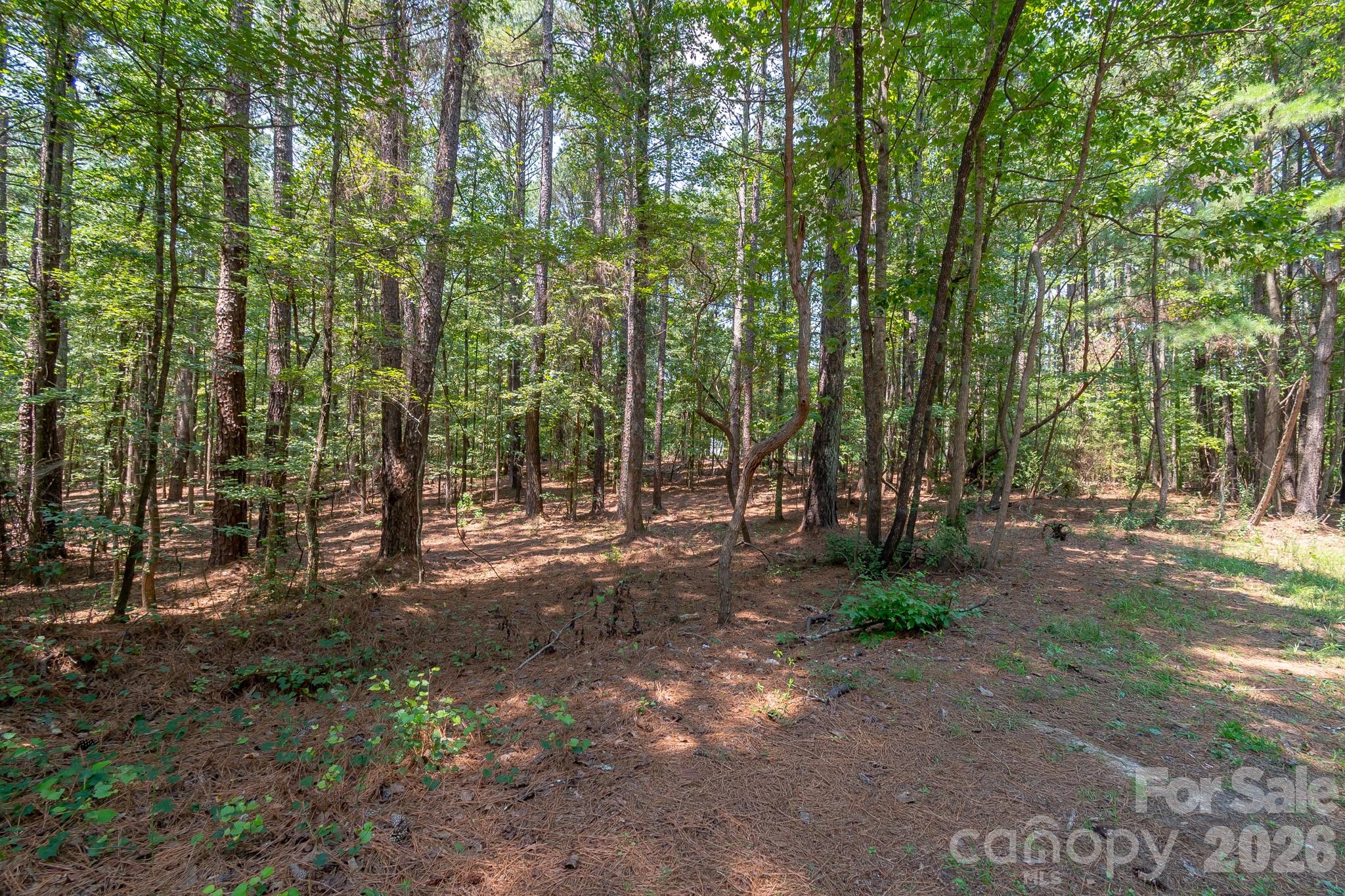 Lot at 5316 Rehobeth Road, Waxhaw, photo 23 of 25