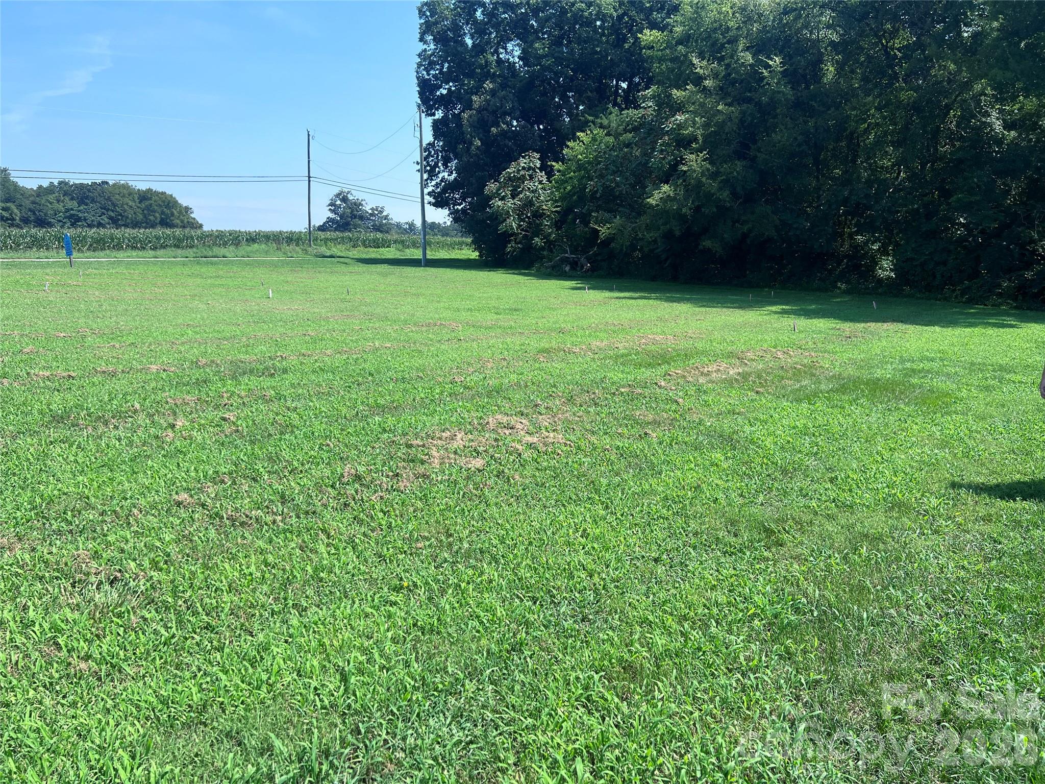 Lot at 115 Brookleaf Lane, Mooresville, photo 5 of 14