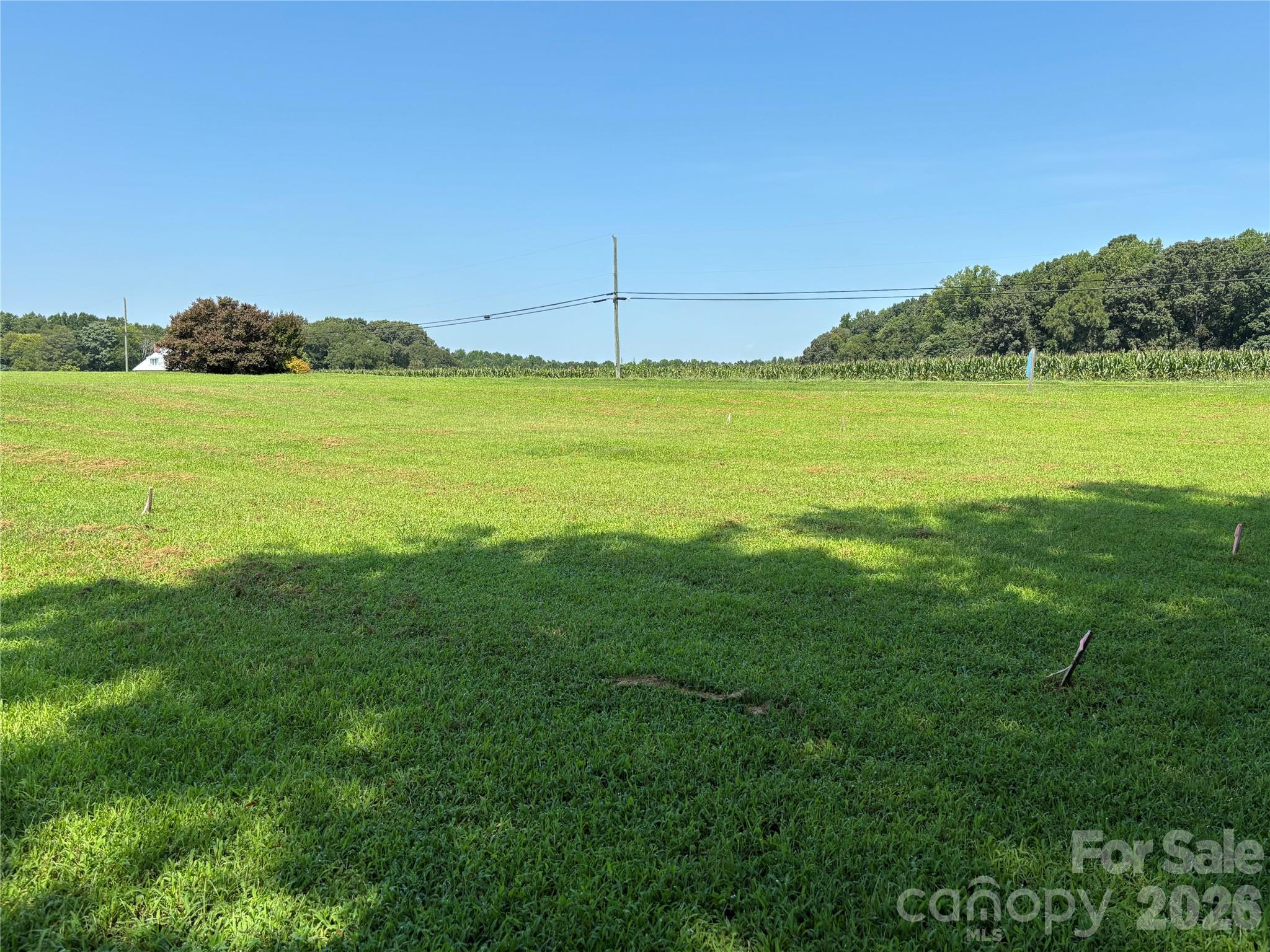 Lot at 115 Brookleaf Lane, Mooresville, photo 12 of 14