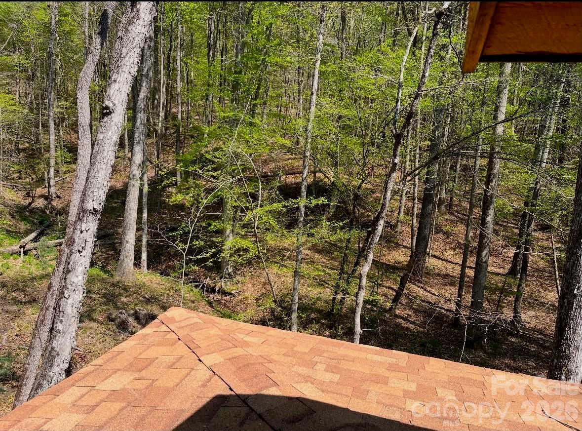 Acreage at TBD Wilkesboro Boulevard, Lenoir, photo 9 of 20