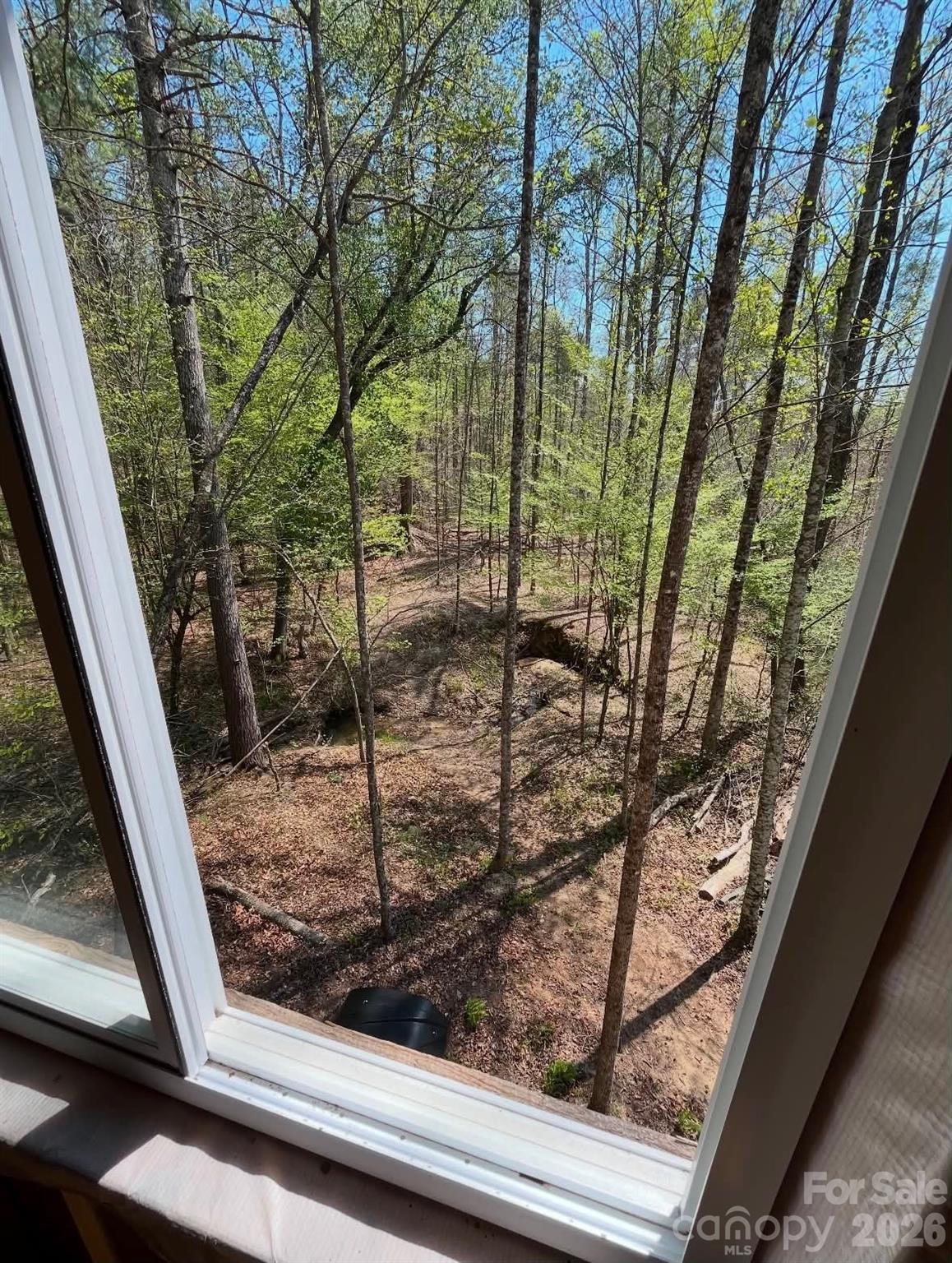 Acreage at TBD Wilkesboro Boulevard, Lenoir, photo 10 of 20