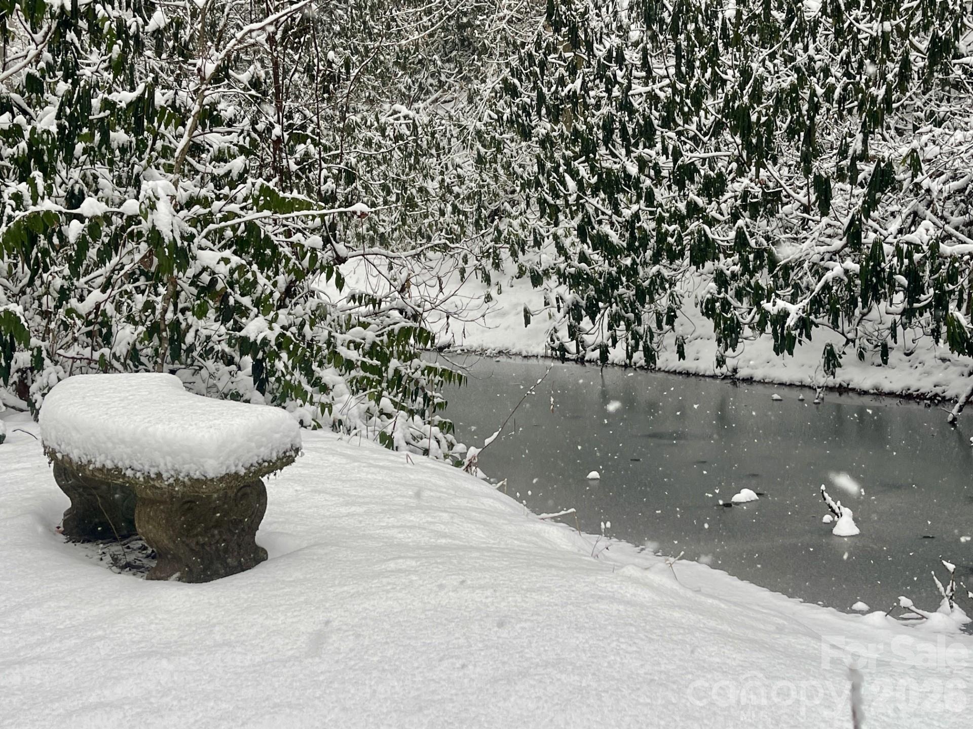 A Snow Day by the Pond - 354 King Road, Pisgah Forest