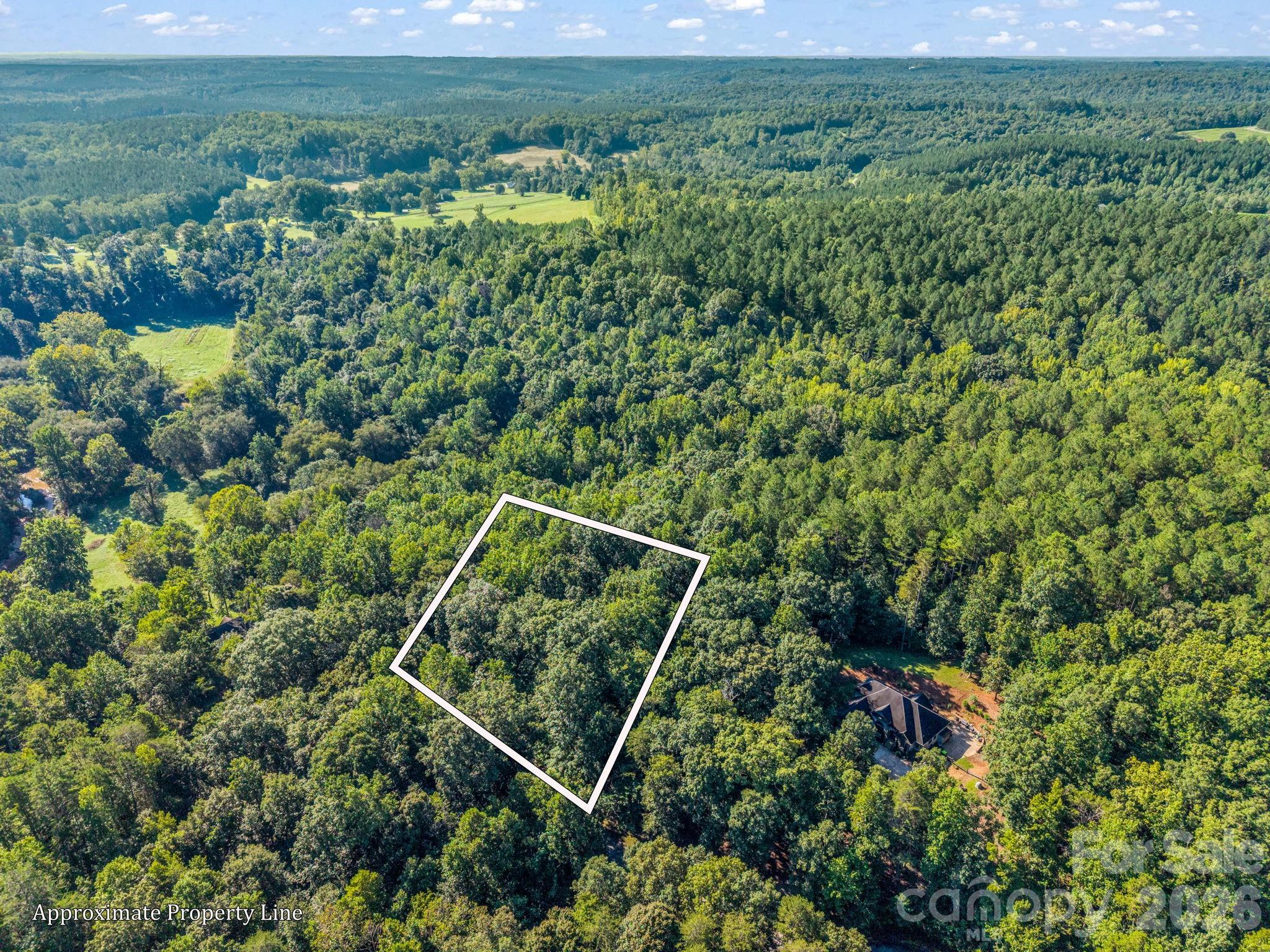 Lot at 000 Rambling Creek Road, Tryon, photo 3 of 6