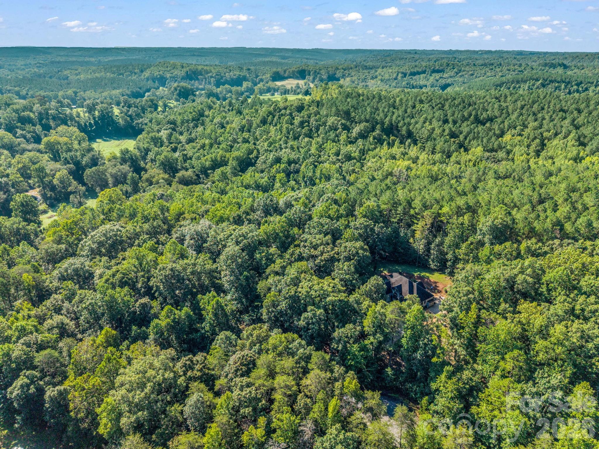 Lot at 000 Rambling Creek Road, Tryon, photo 4 of 6