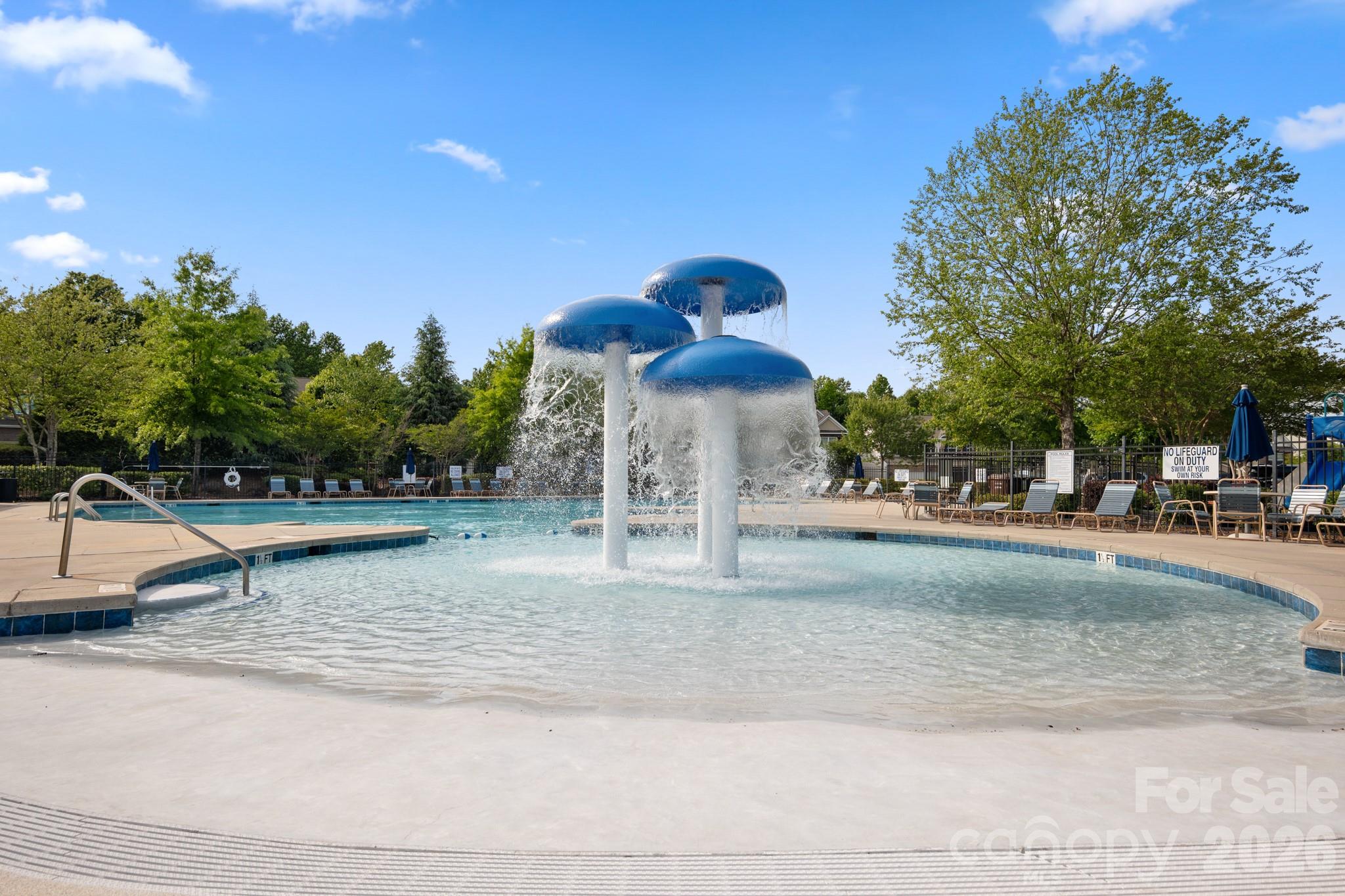 Carolina Reserve Community Pool - 4043 Perth Road, Indian Land