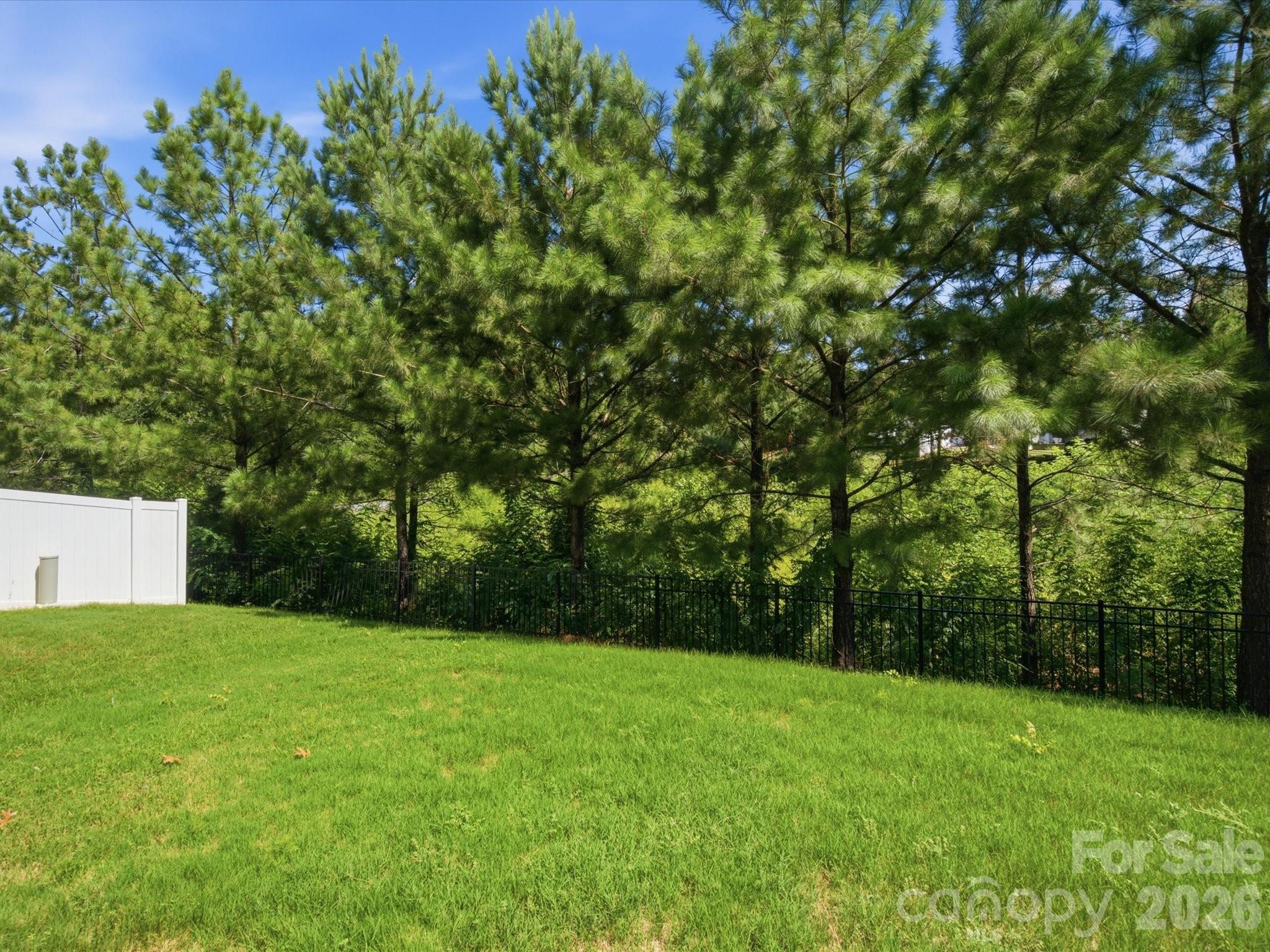 Townhouse at 7020 Swamp Chestnut Lane, Indian Land, photo 33 of 42