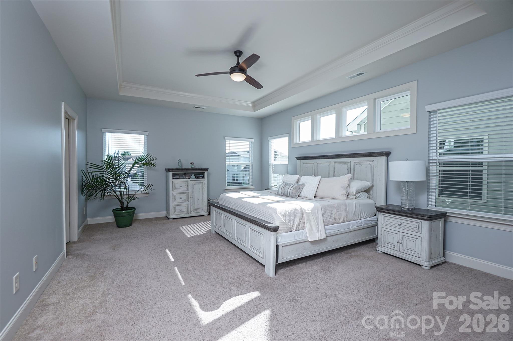 Primary features Trey Ceiling and Lots of Light - 1300 Thessallian Lane, Indian Trail