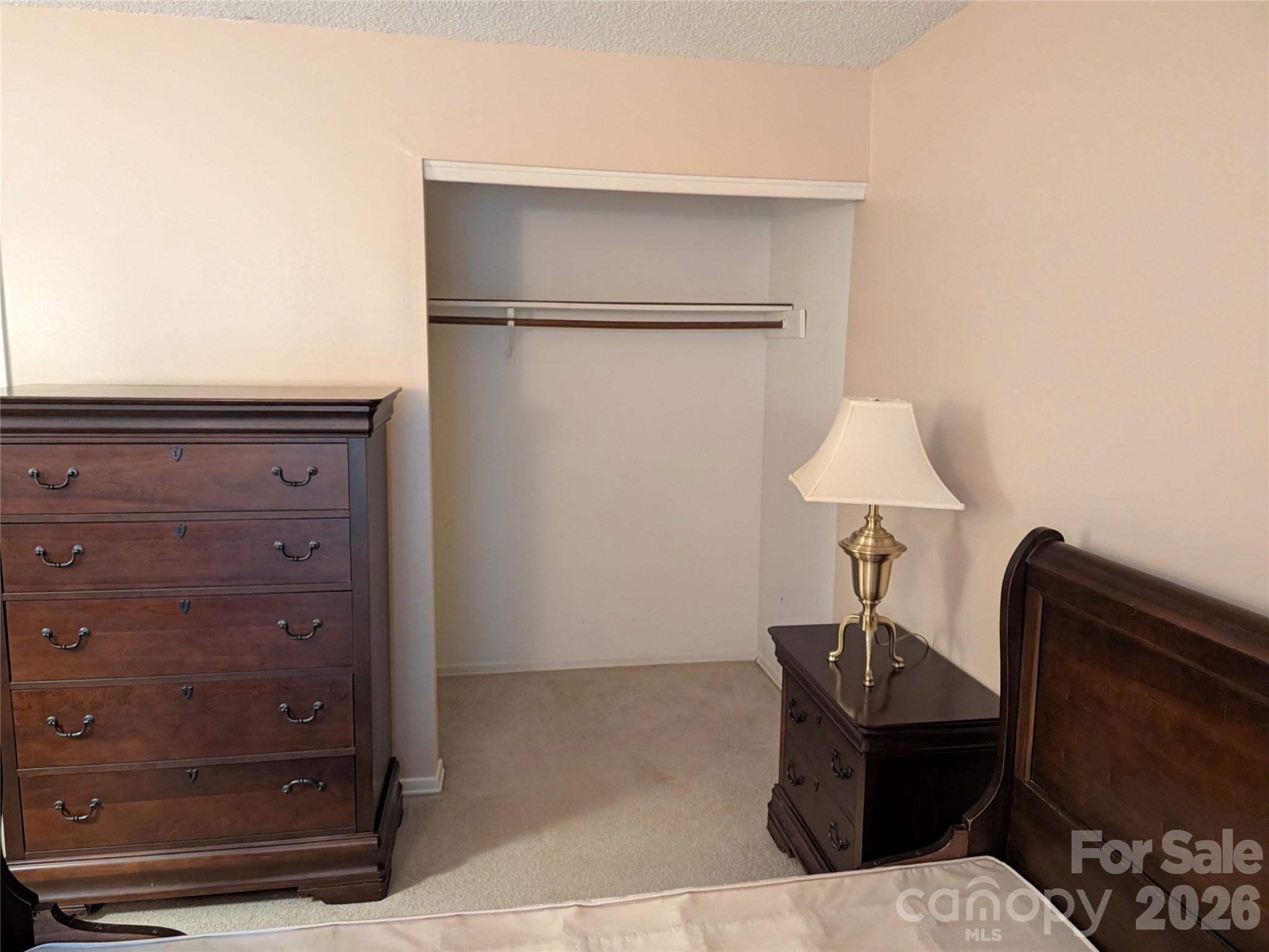 primary bedroom closet - 204 Scottlynn Drive, Asheville