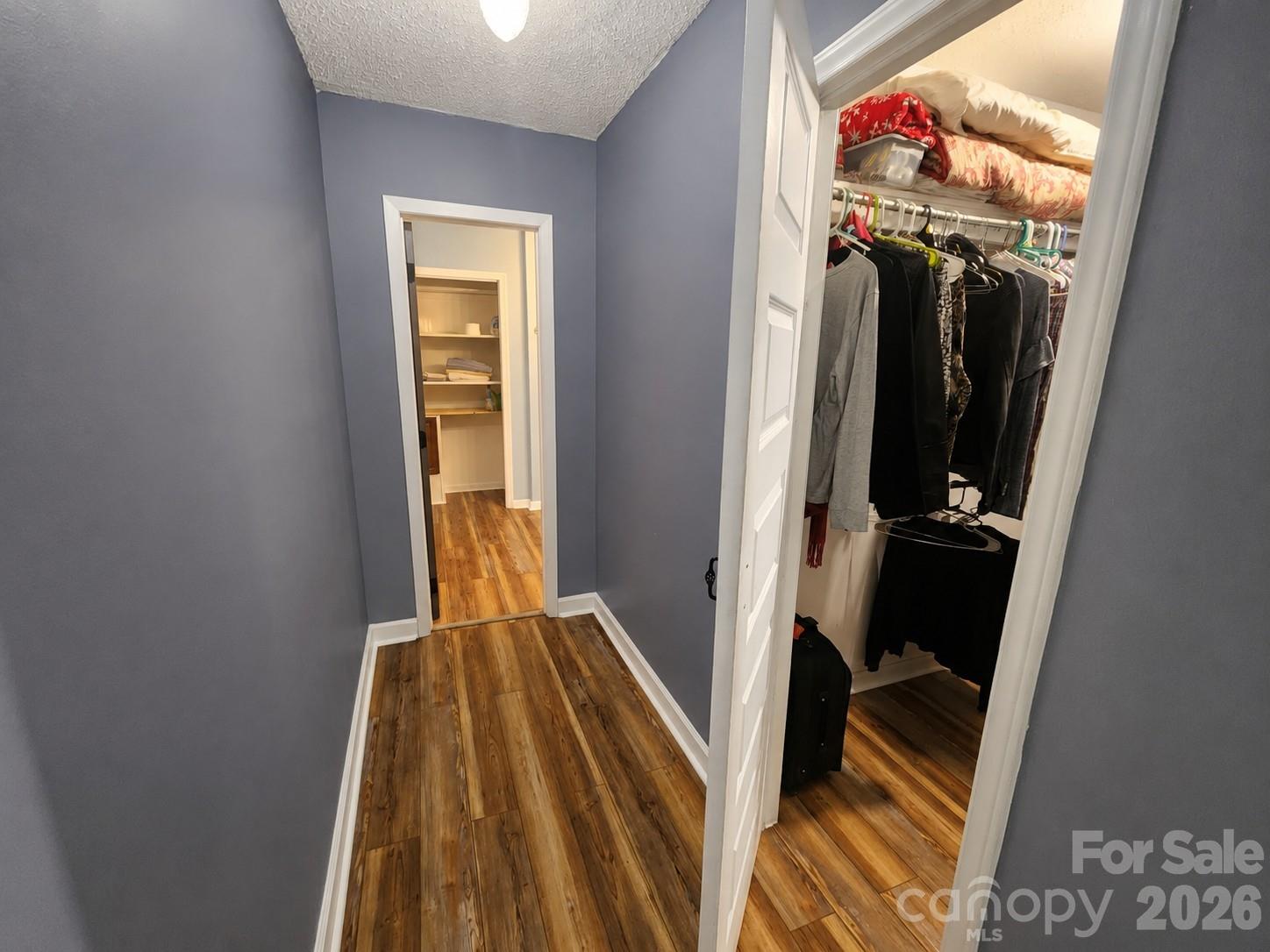 Hallway from primary bedroom with closet and bathroom attached - 47 Caribou Lane, Burnsville