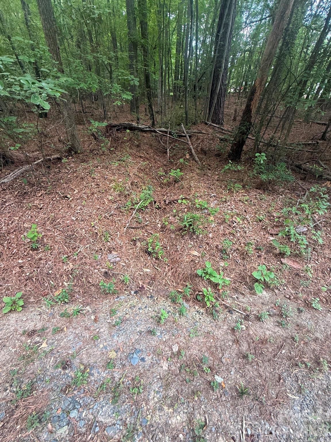 Lot at 0 Blackwell Street, Mount Gilead, photo 6 of 6