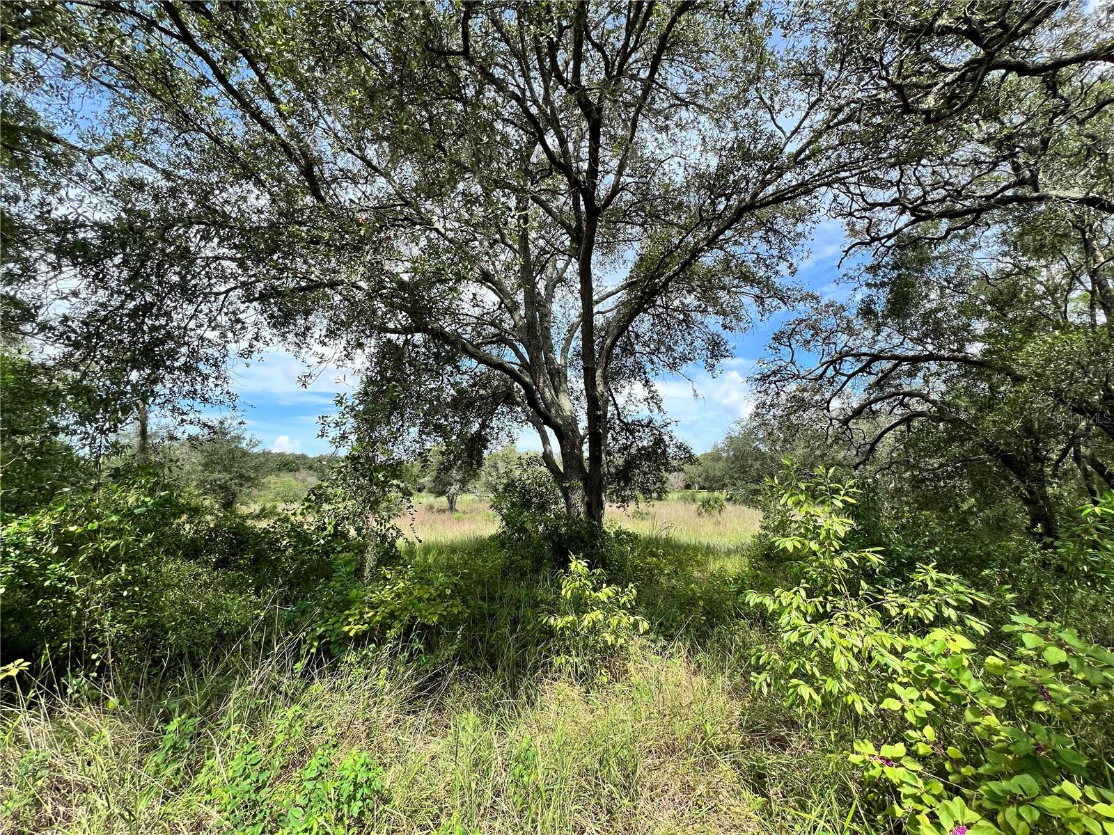 13339 VIVIAN LN