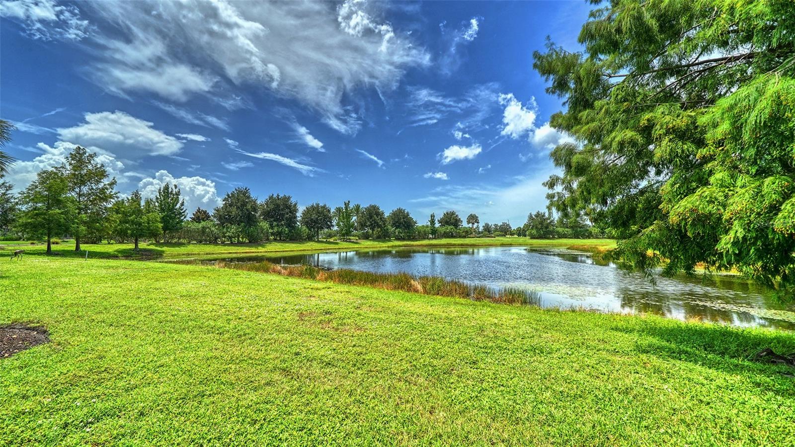 Condominium at 7552 DIVOT LOOP, BRADENTON, photo 43 of 63