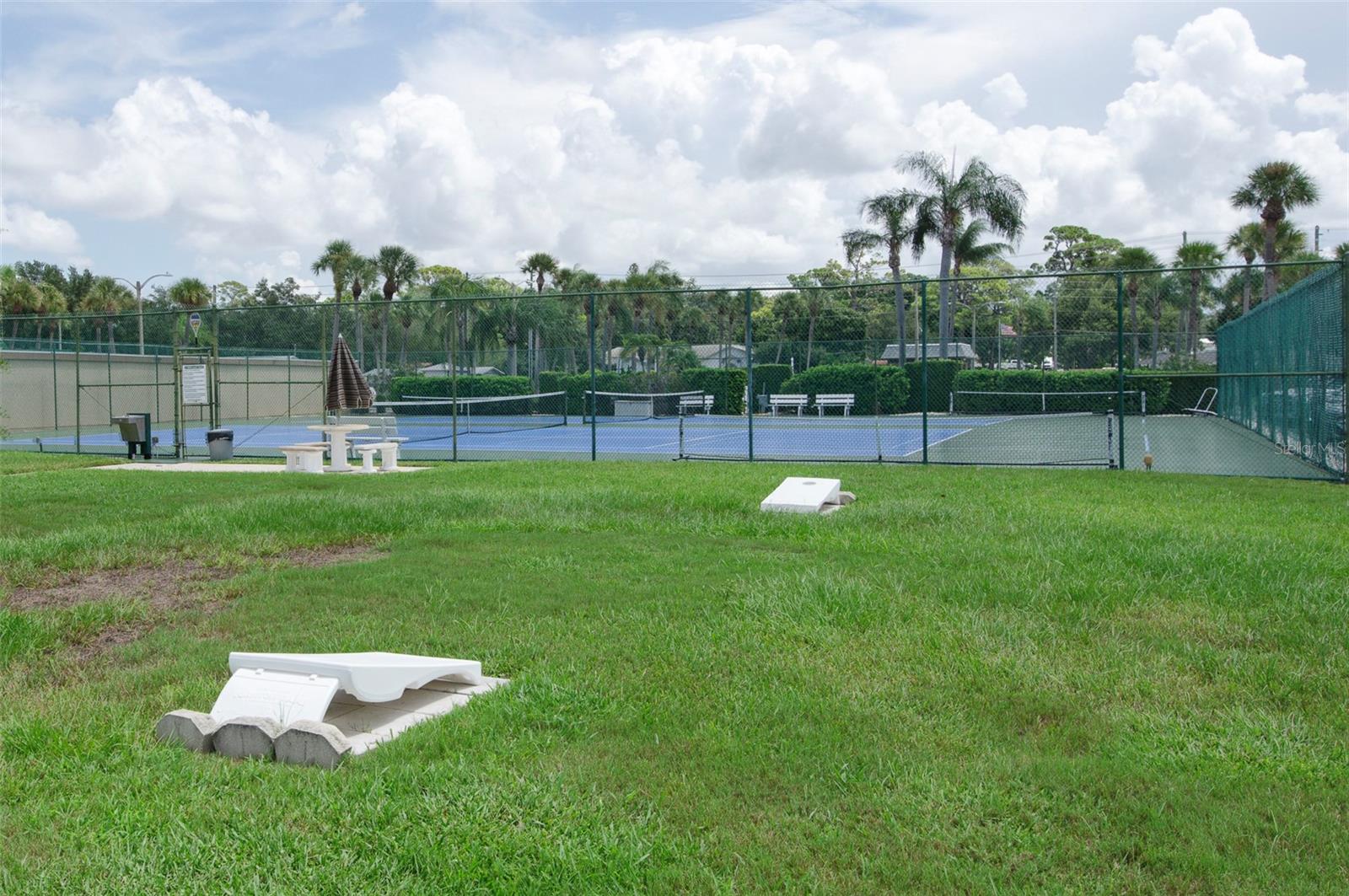 One of the many outdoor activities! - 382 BOCA CIEGA POINT BLVD S, ST PETERSBURG