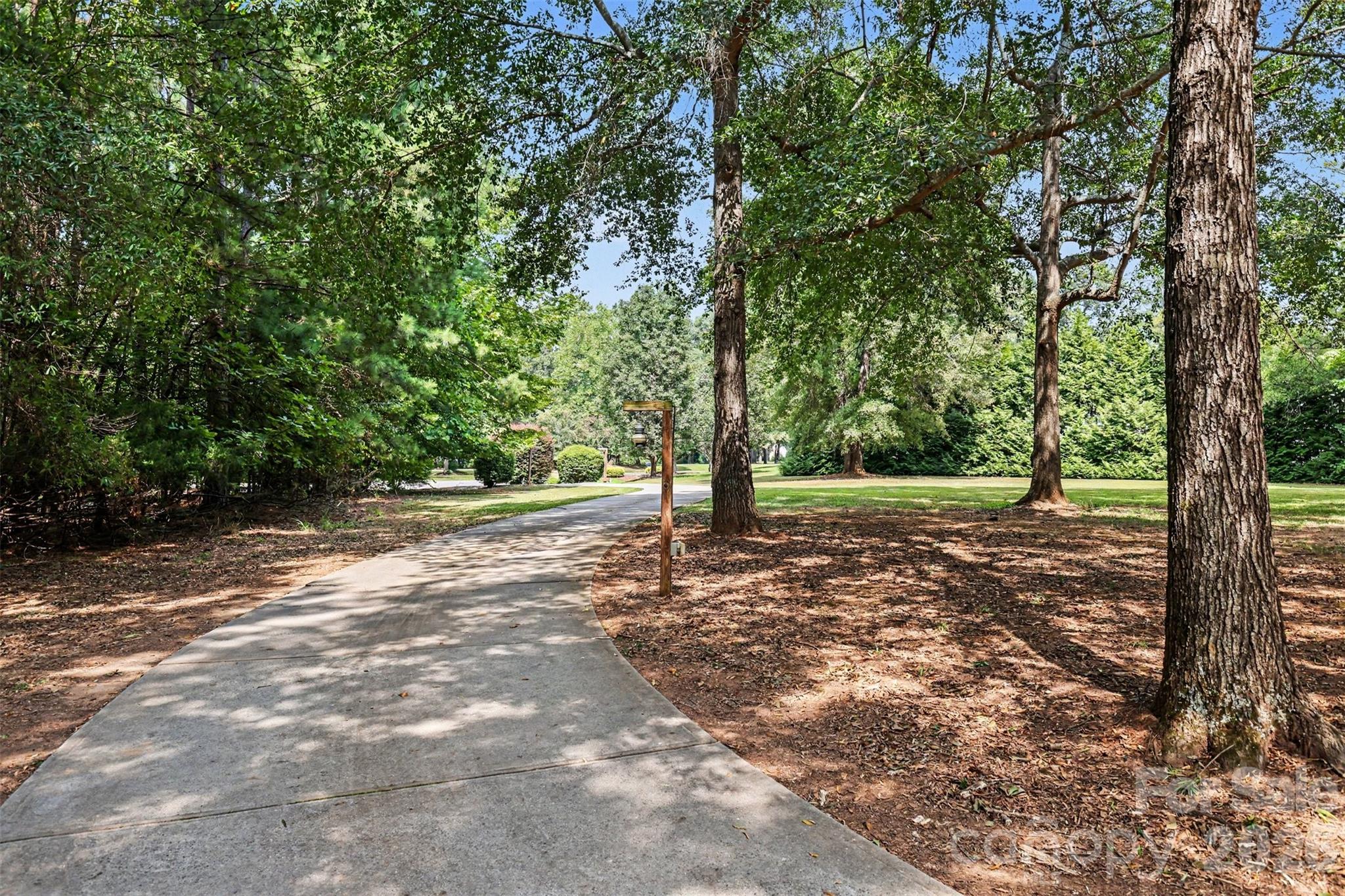 Tree-canopied driveway approach - 3647 Venetian Way, York