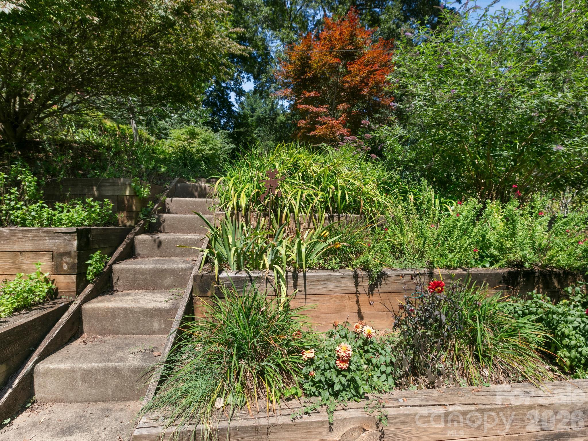 View from Driveway to Front Yard - 28 Arthur Road, Asheville