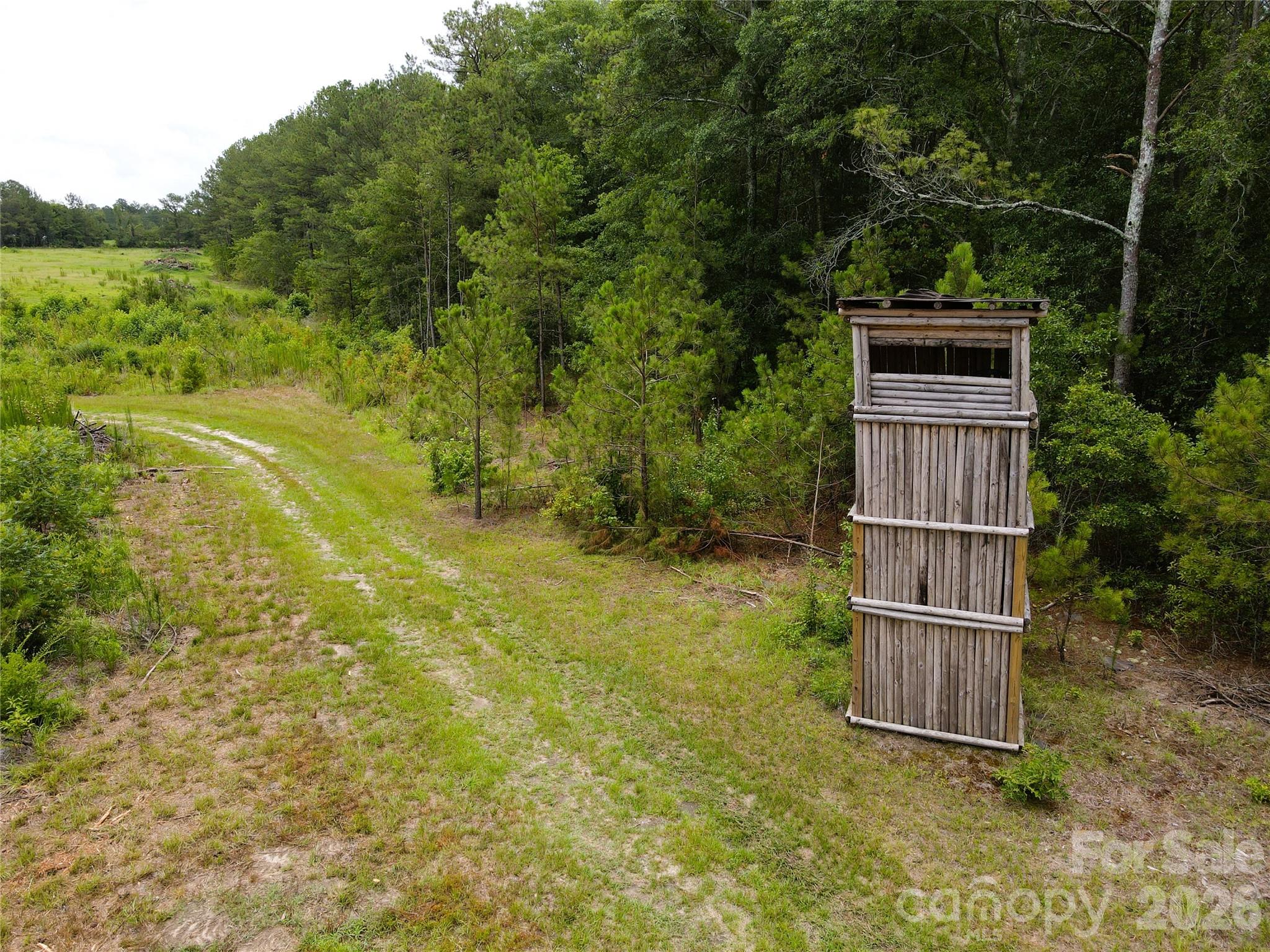 Acreage at 01 Old Cheraw Highway, Rockingham, photo 6 of 30