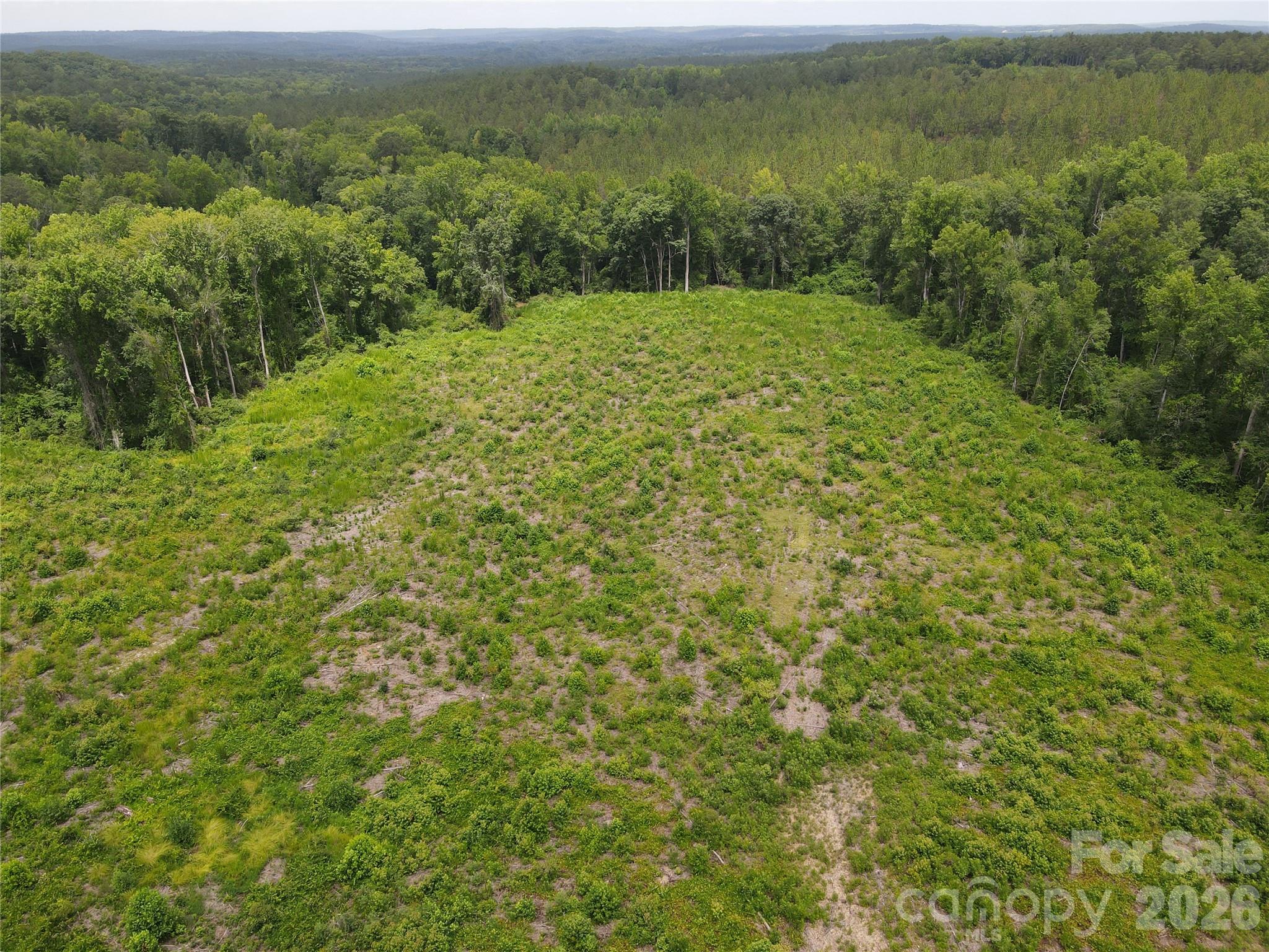 Acreage at 01 Old Cheraw Highway, Rockingham, photo 21 of 30