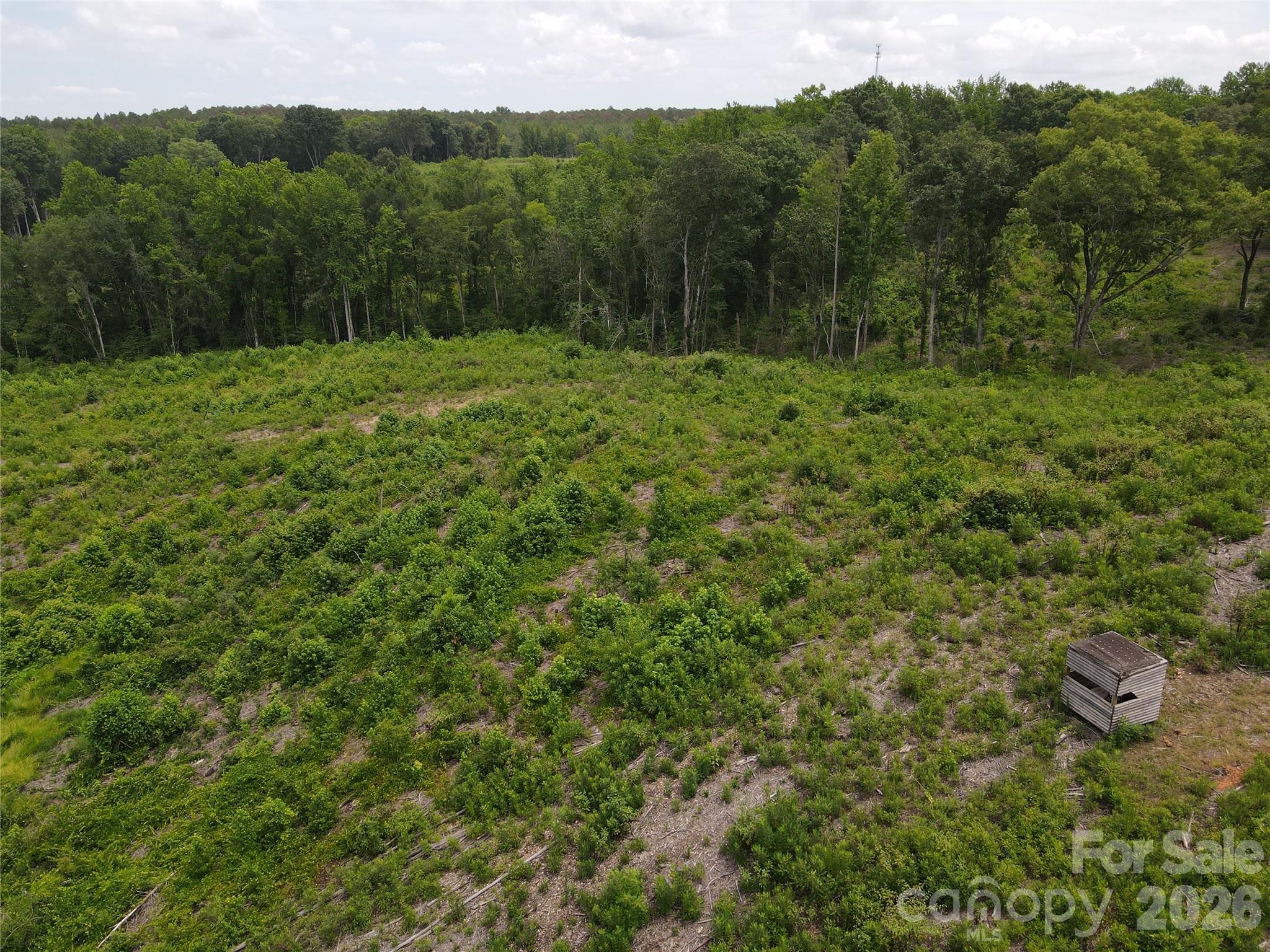 Acreage at 01 Old Cheraw Highway, Rockingham, photo 25 of 30