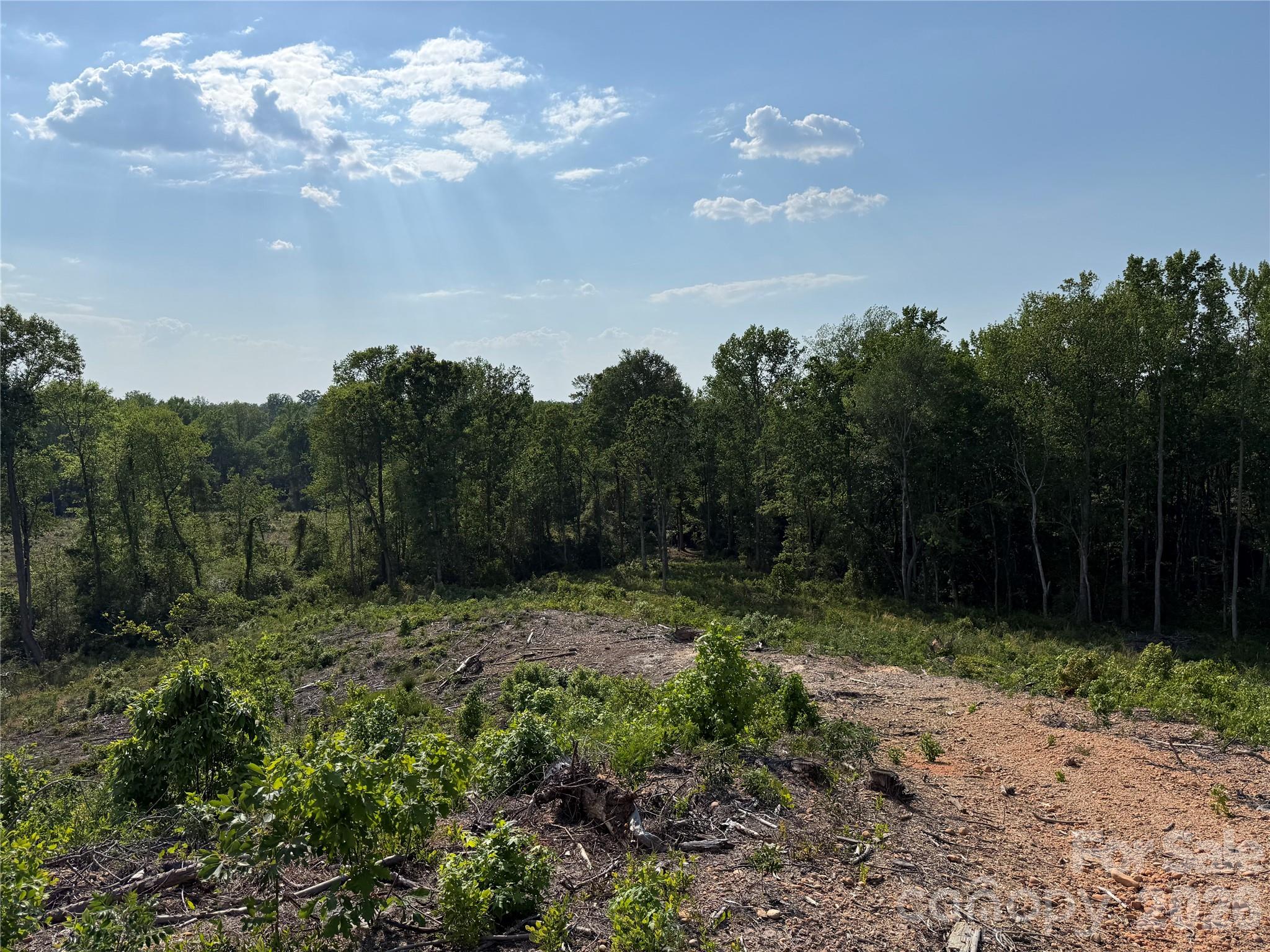 Acreage at 01 Old Cheraw Highway, Rockingham, photo 29 of 30