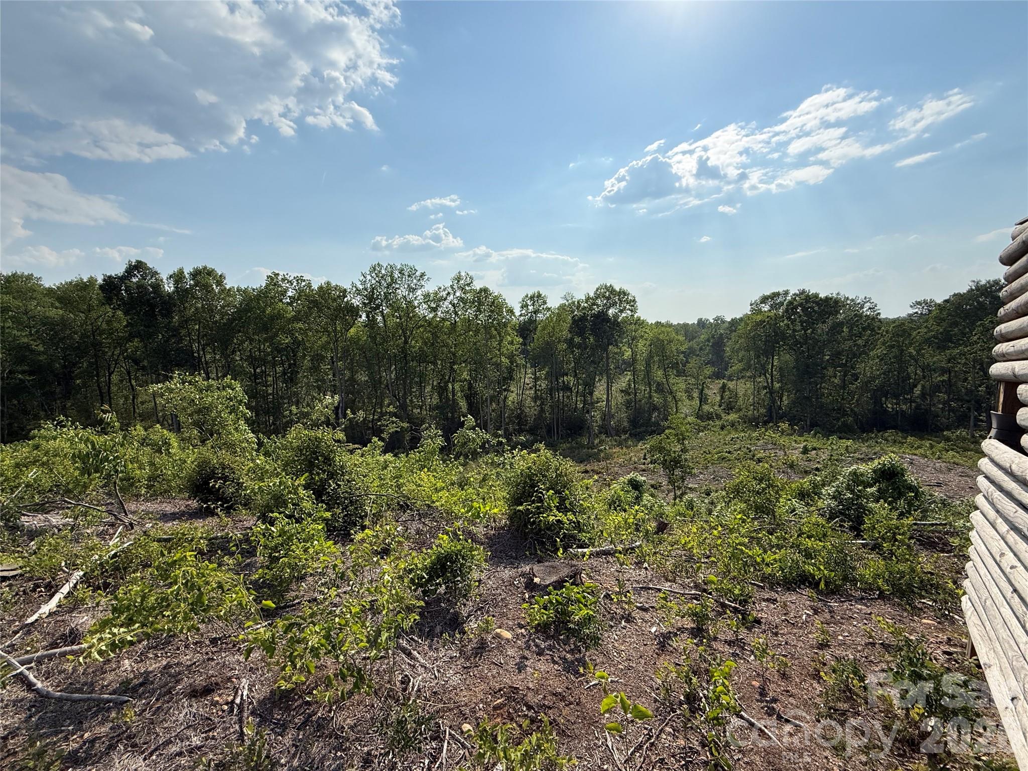 Acreage at 01 Old Cheraw Highway, Rockingham, photo 30 of 30