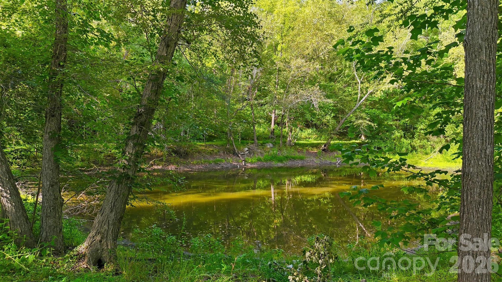 POND - 2386 Liledoun Road, Taylorsville