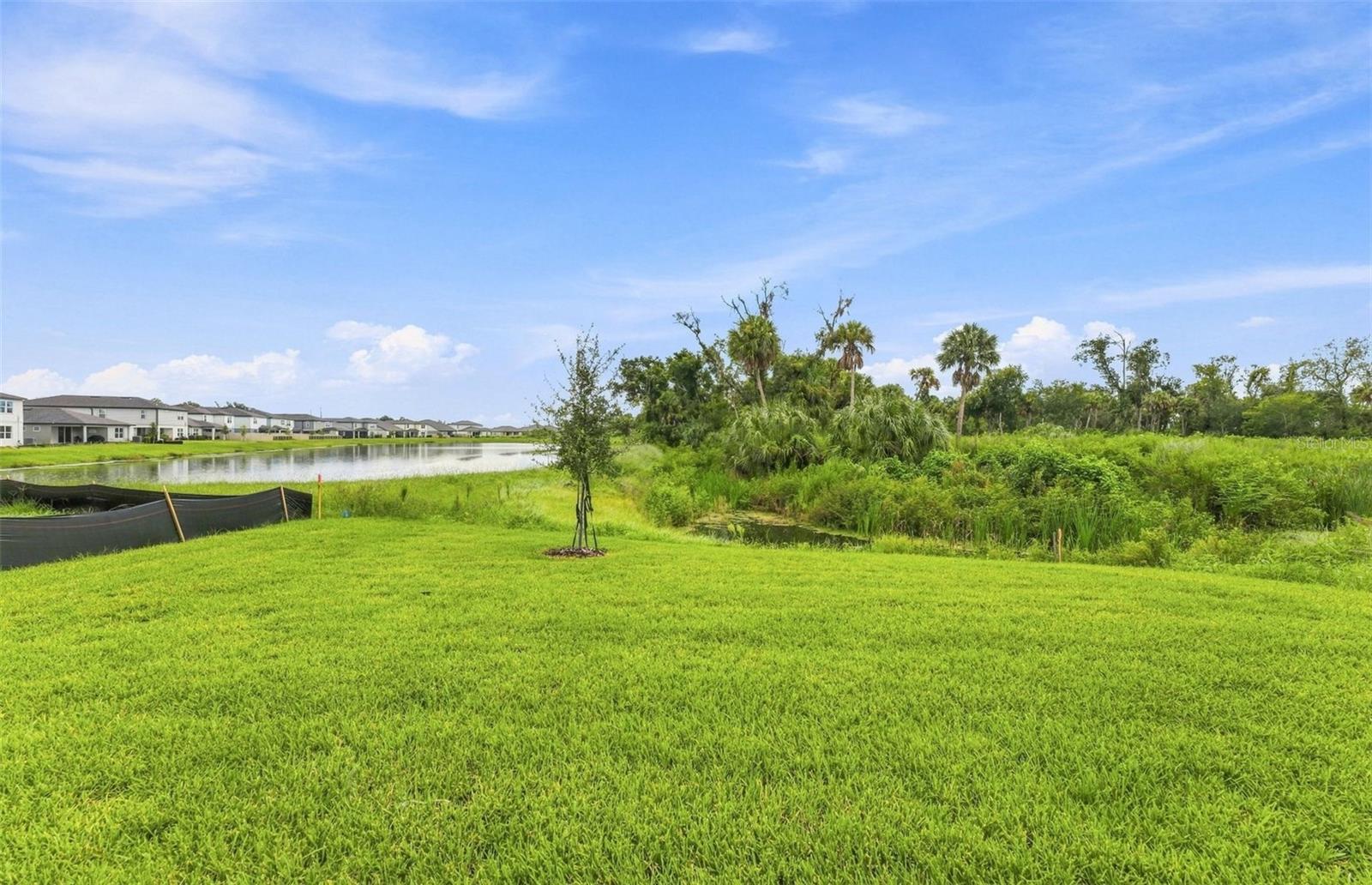Spacious Backyard - 9877 TRELLIS VINE WAY, PARRISH