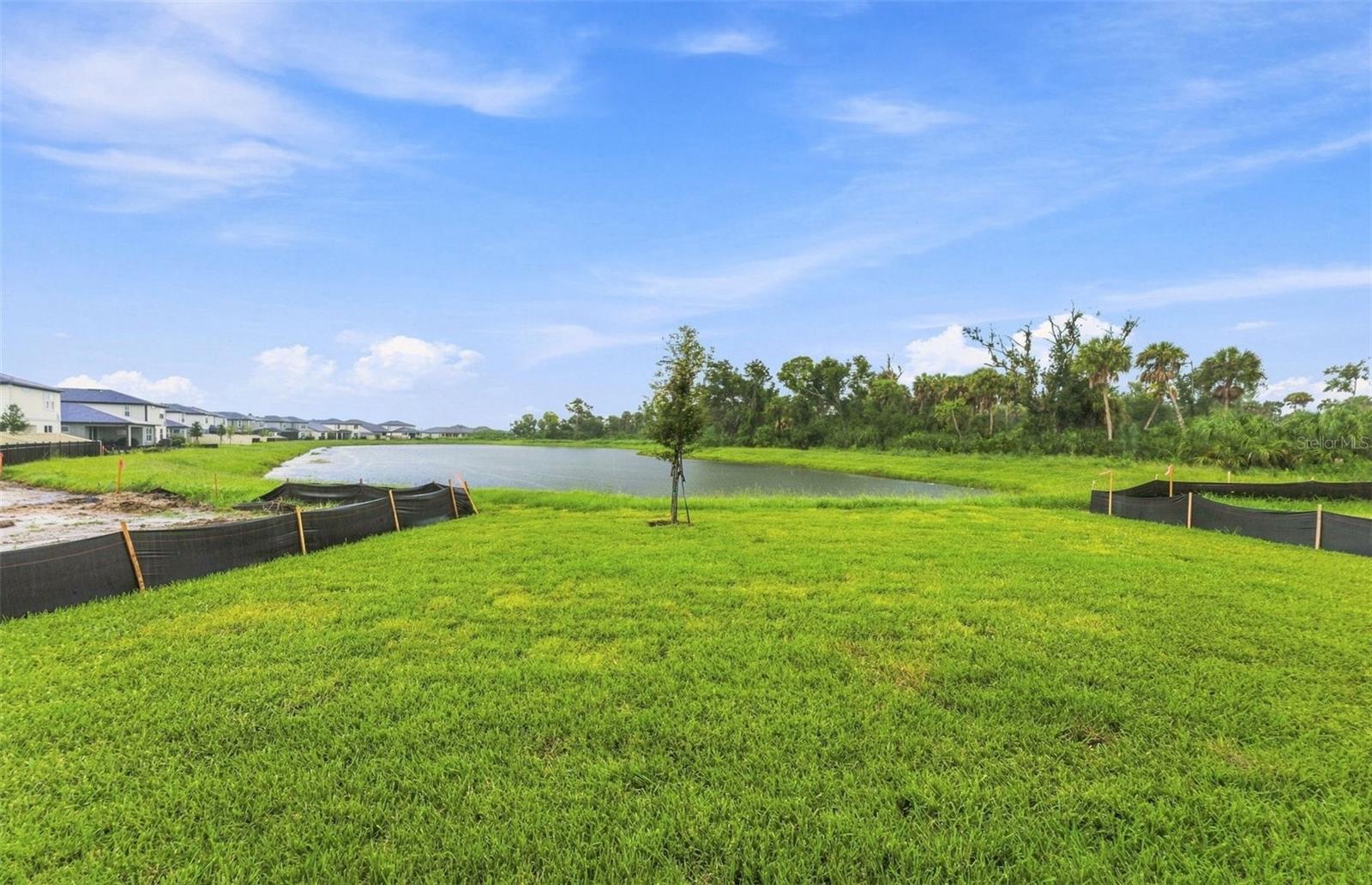 Lakeview Homesite - 9885 TRELLIS VINE WAY, PARRISH