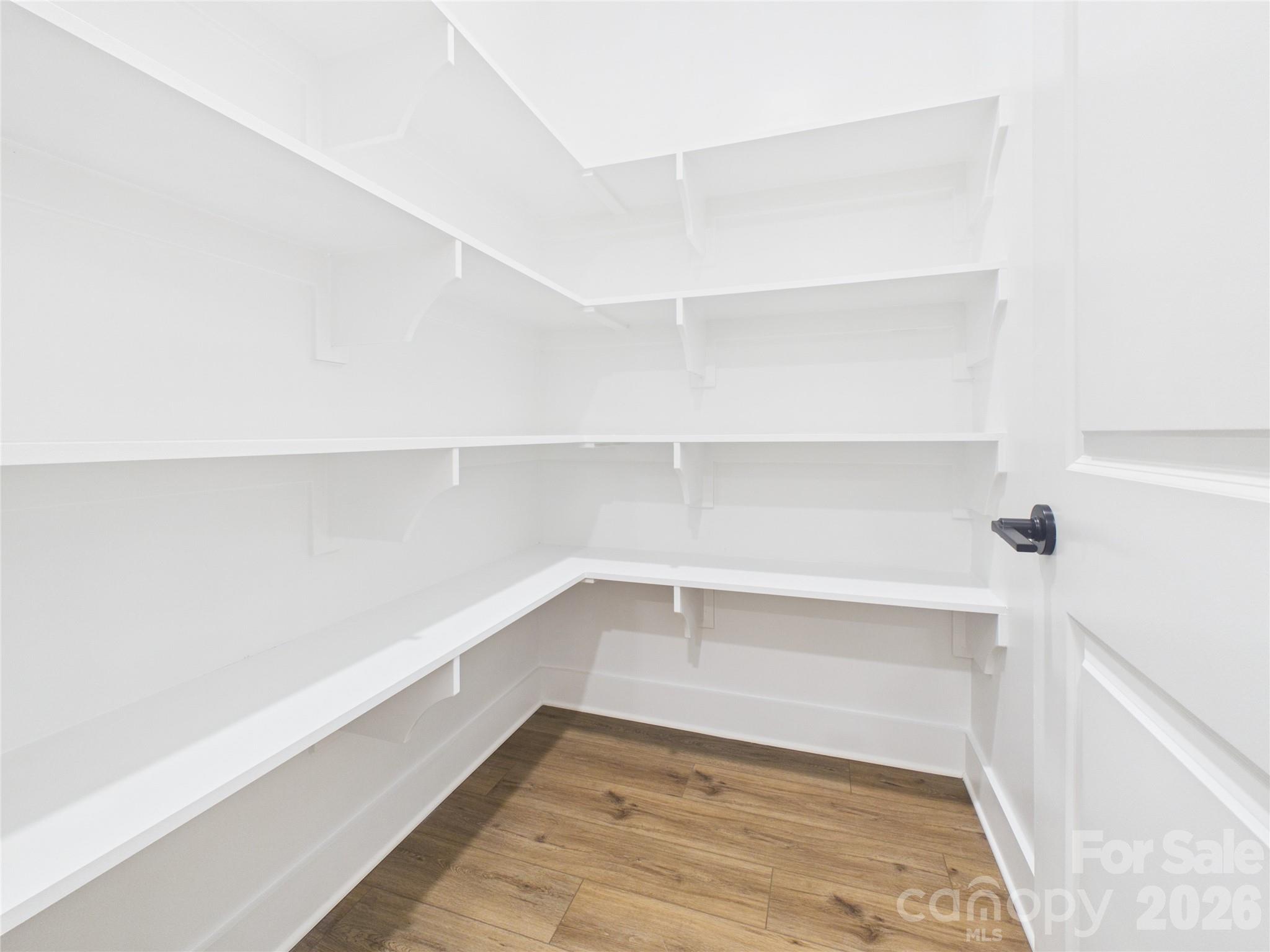Walk-in Pantry or storage closet. - 1065 Rolling Meadows Drive, Mooresville