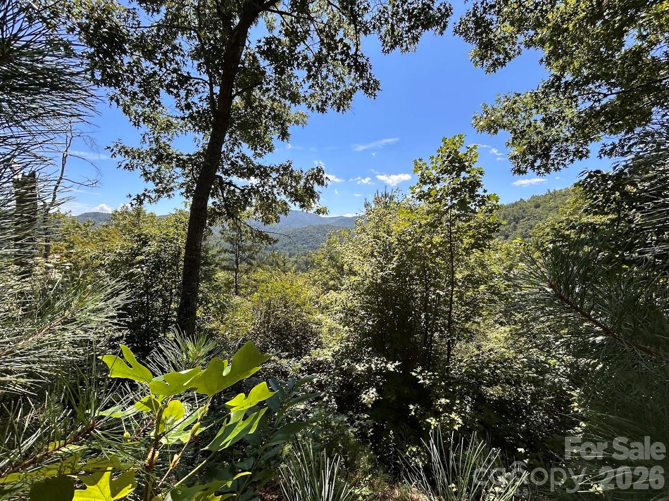 Acreage at 9999 US Hwy 441 Highway S, Sylva, photo 2 of 19