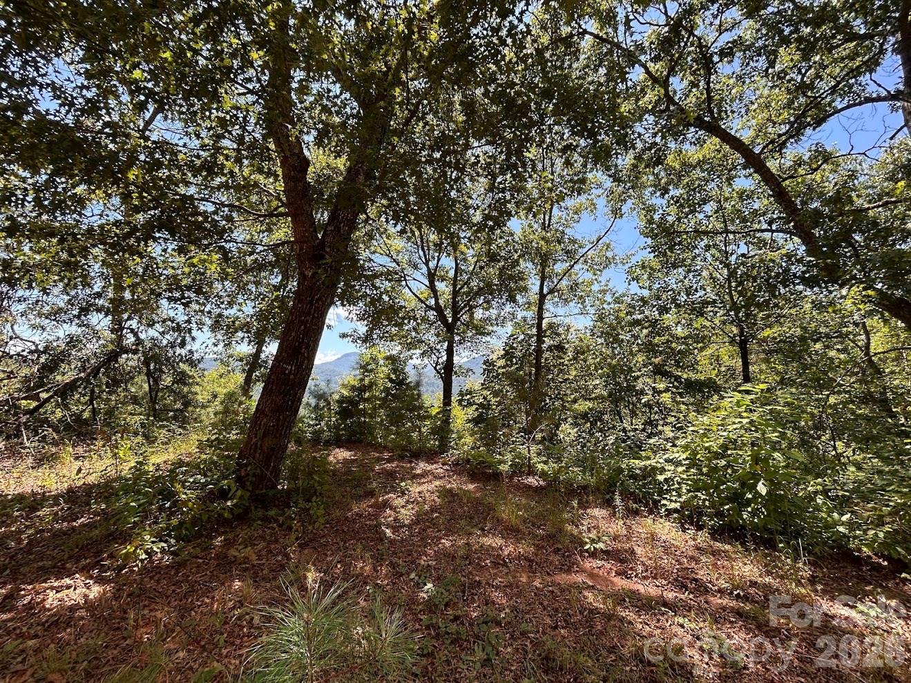 Acreage at 9999 US Hwy 441 Highway S, Sylva, photo 5 of 19