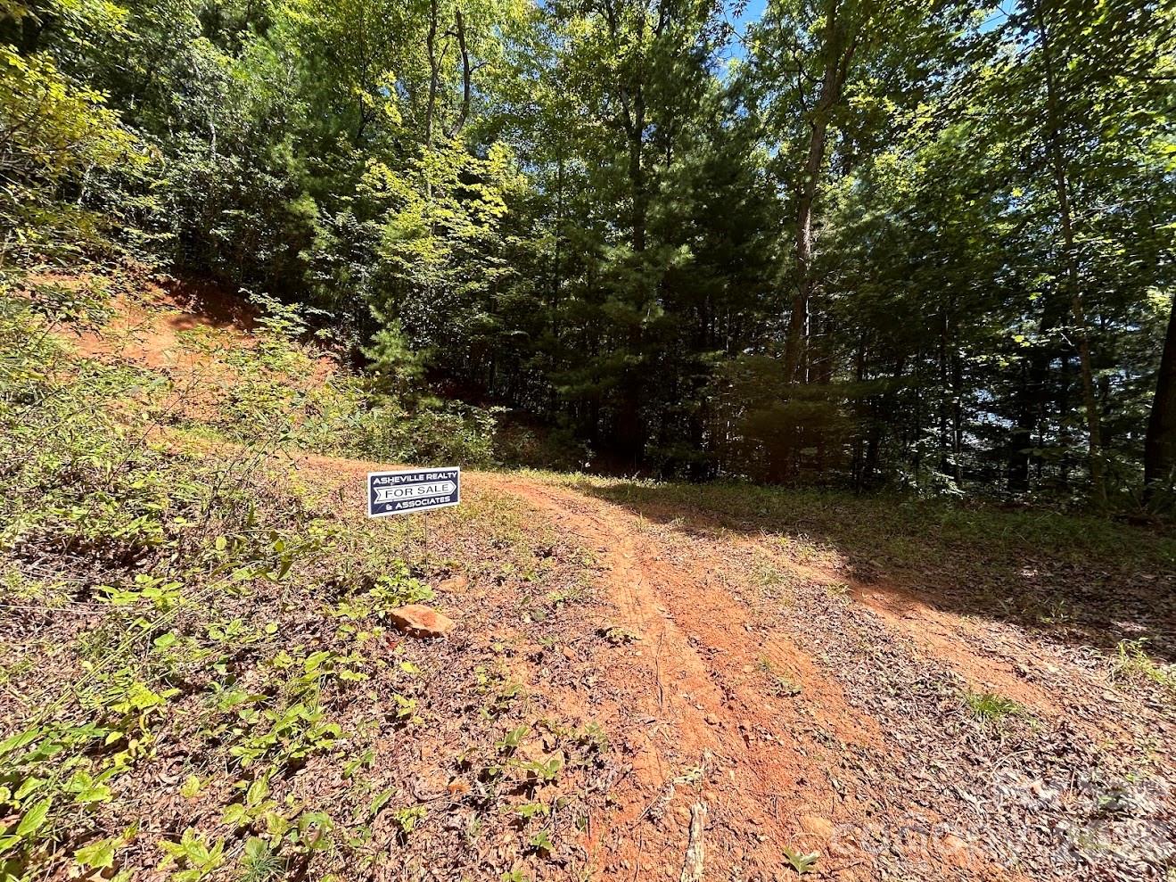 Marker is approximate lot line - 9999 US Hwy 441 Highway S, Sylva