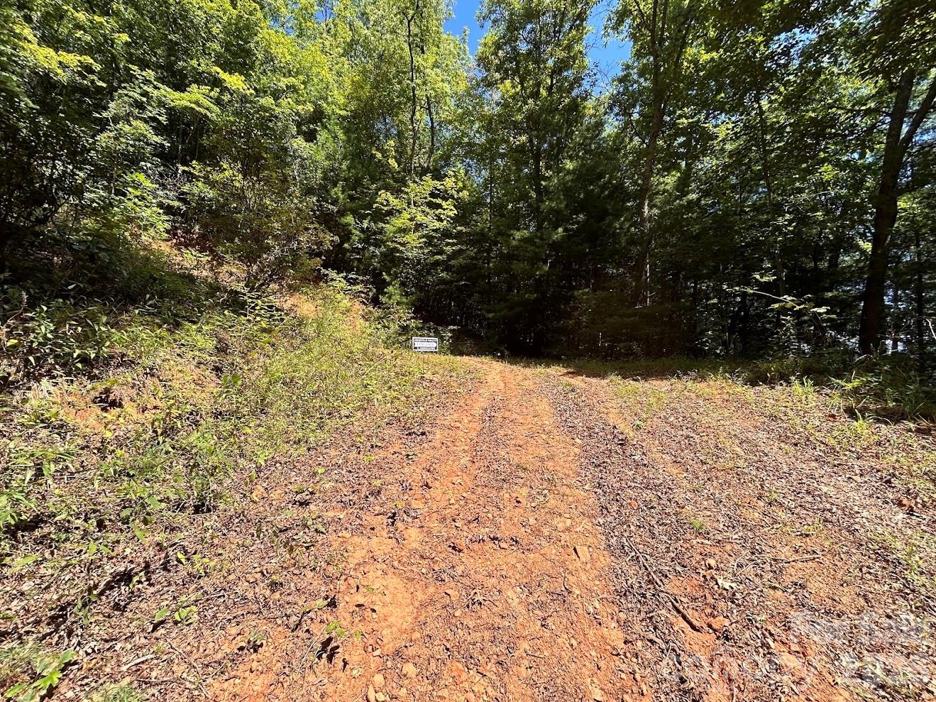 Acreage at 9999 US Hwy 441 Highway S, Sylva, photo 10 of 19