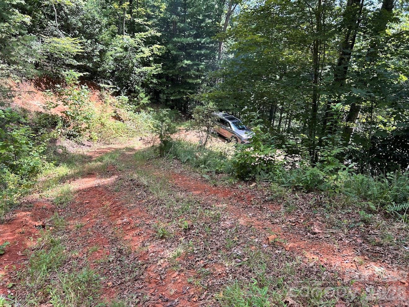 Unimproved Driveway - 9999 US Hwy 441 Highway S, Sylva