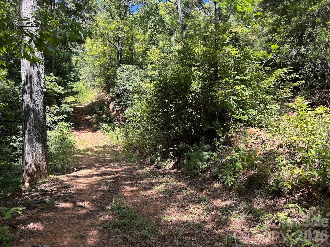 Additional View of Driveway - 9999 US Hwy 441 Highway S, Sylva