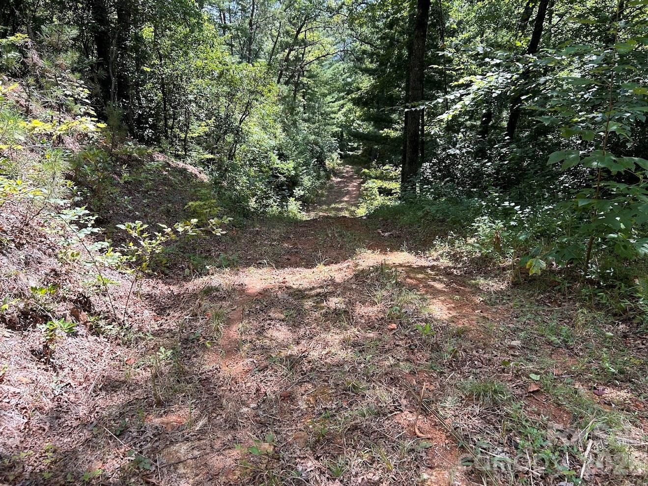 Rough Driveway - 9999 US Hwy 441 Highway S, Sylva
