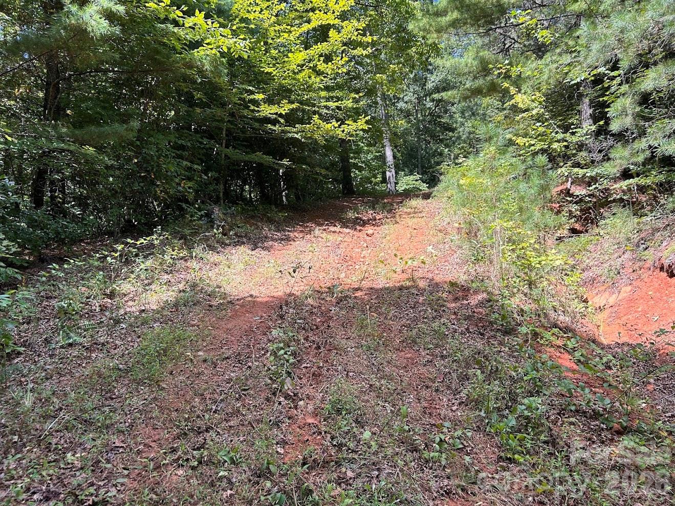 Additional View of Driveway - 9999 US Hwy 441 Highway S, Sylva