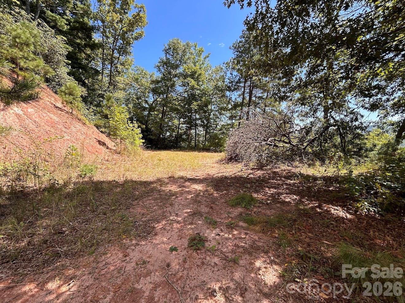 Approach to Potential Homesite - 9999 US Hwy 441 Highway S, Sylva