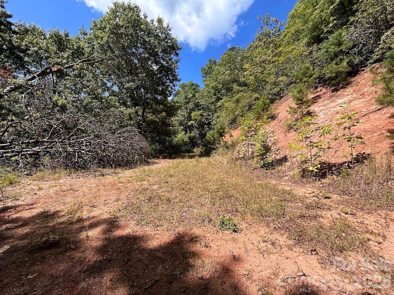 Potential Homesite - 9999 US Hwy 441 Highway S, Sylva
