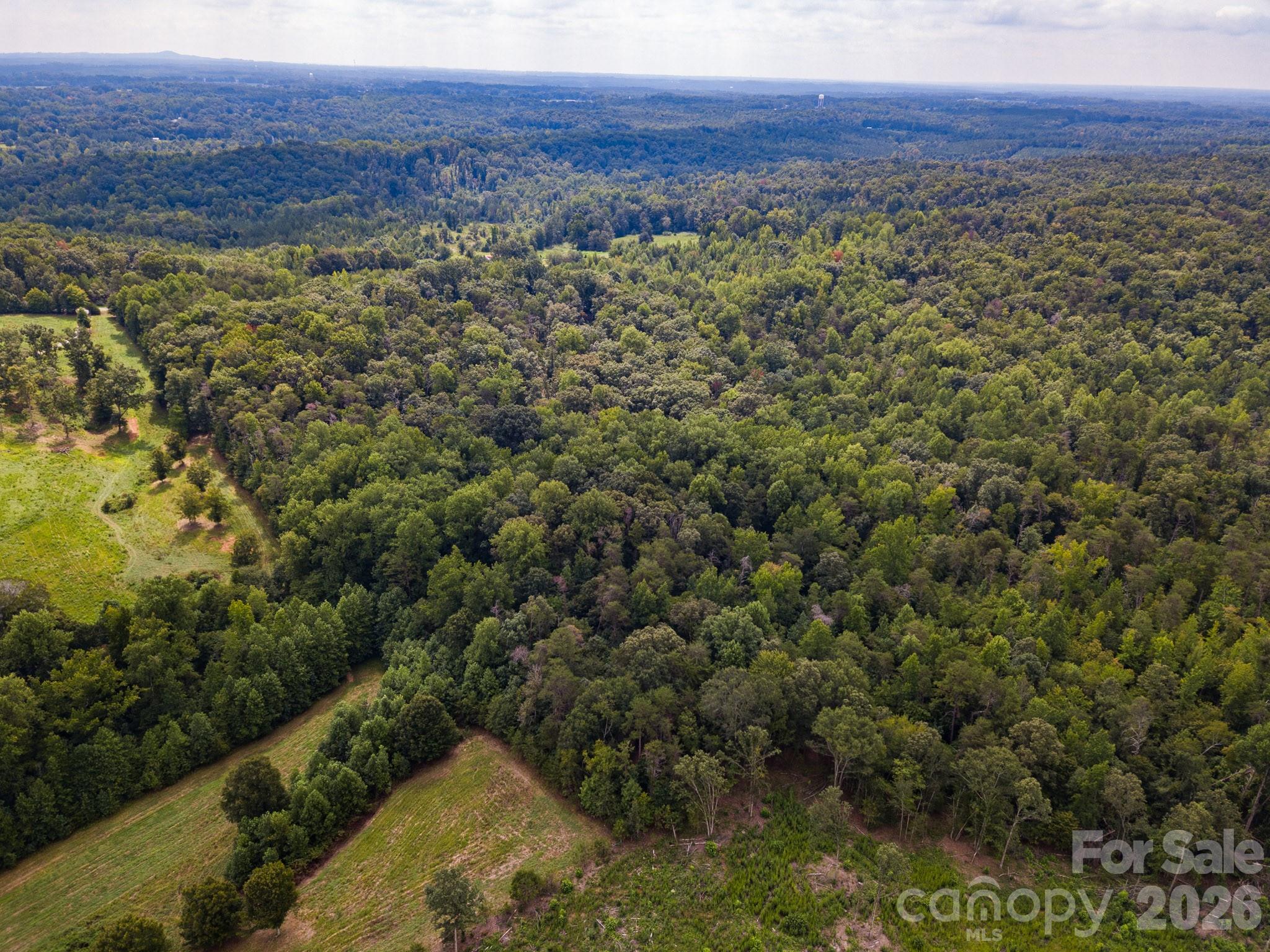 Acreage at 99999 Lail Road, Rutherfordton, photo 6 of 15