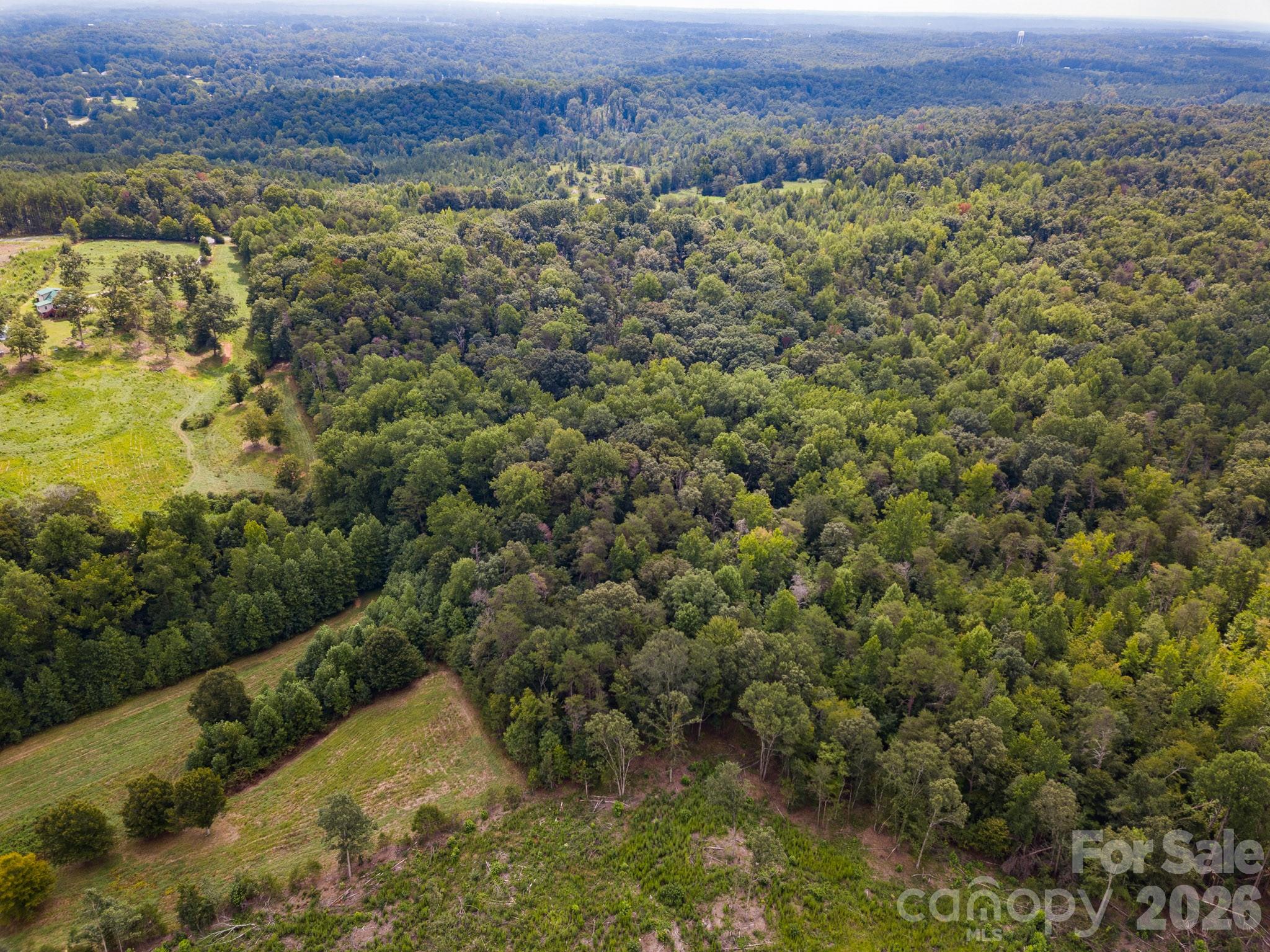 Acreage at 99999 Lail Road, Rutherfordton, photo 7 of 15