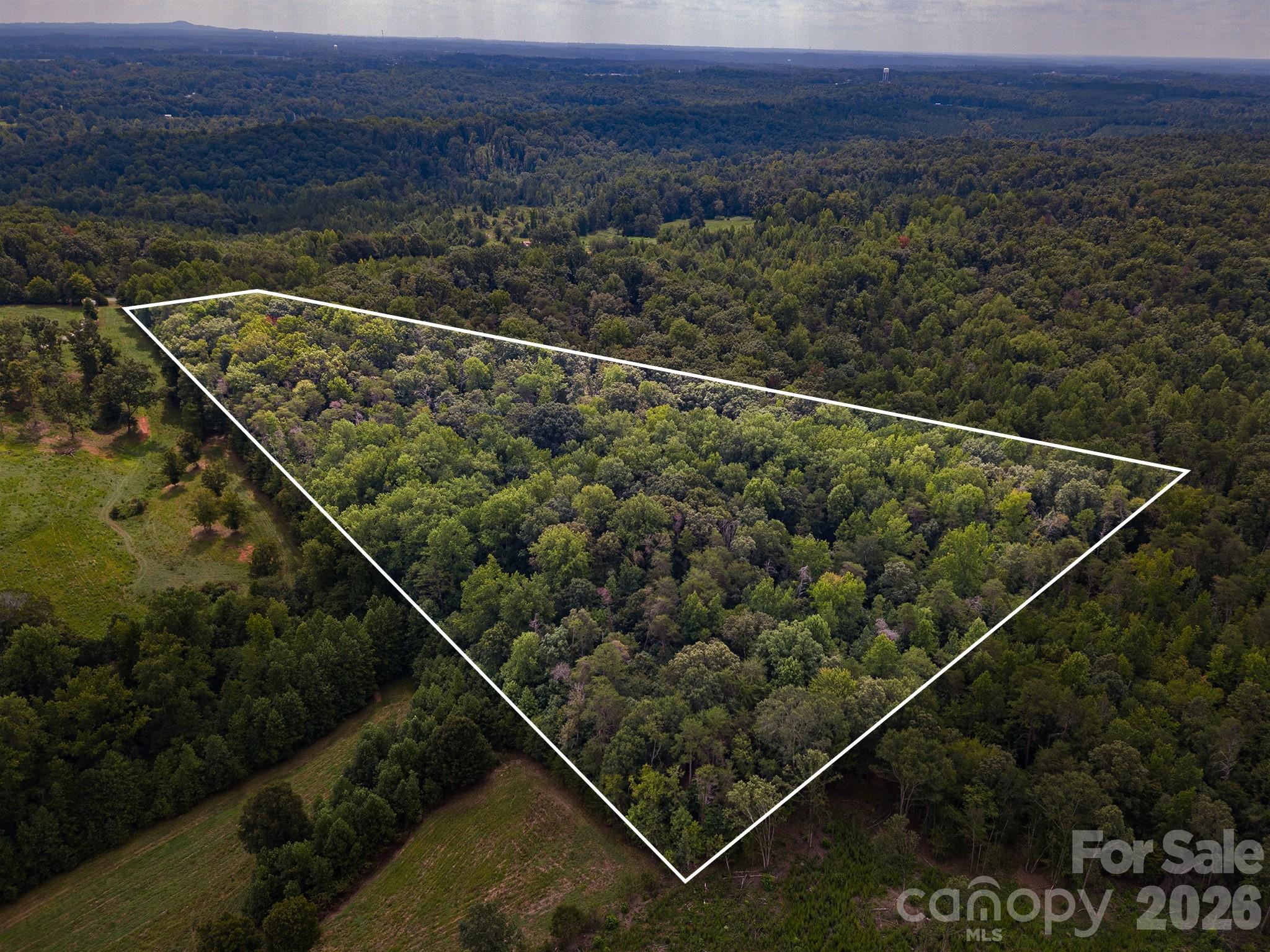 Acreage at 99999 Lail Road, Rutherfordton, photo 8 of 15