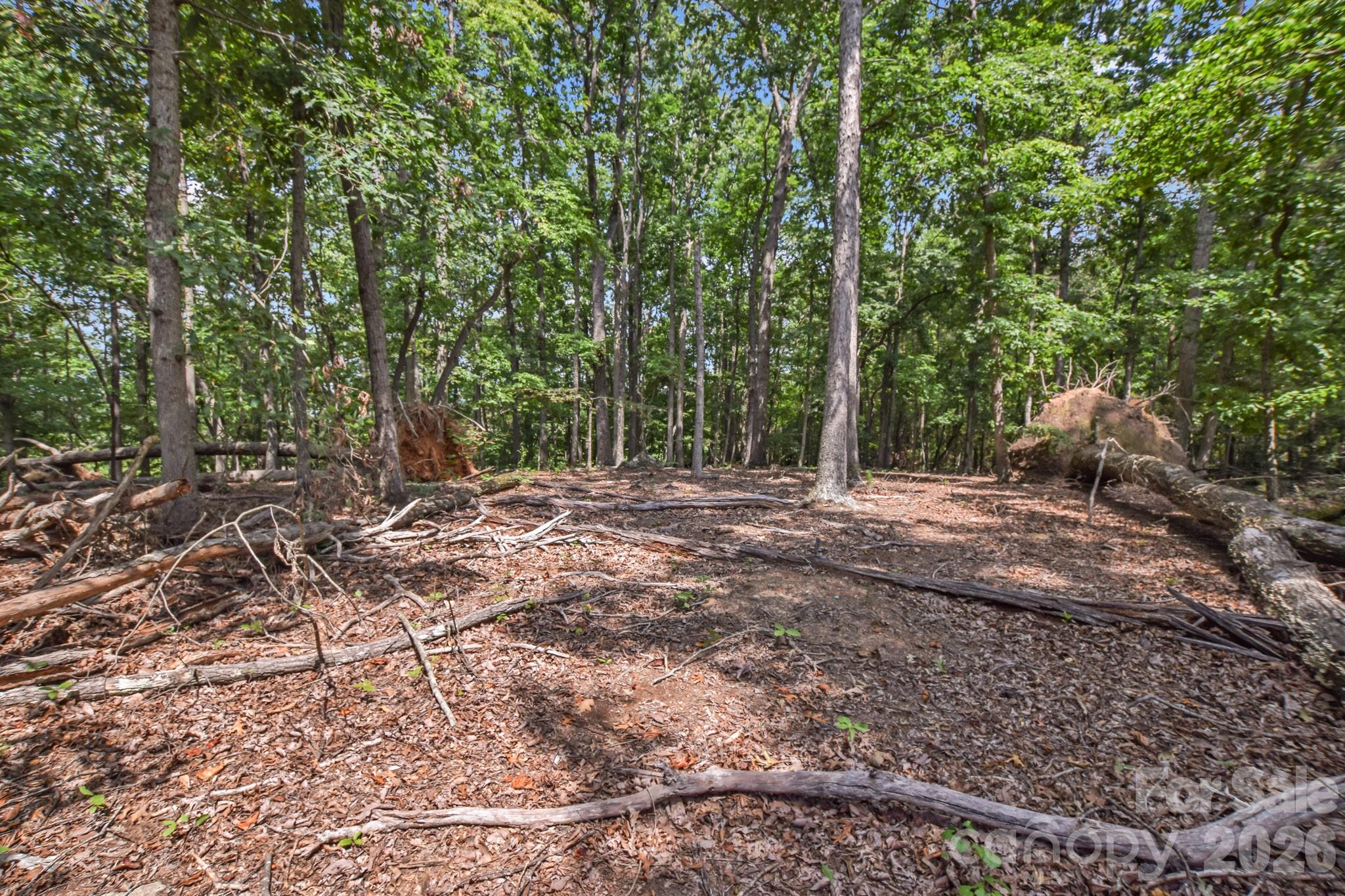 Acreage at 99999 Lail Road, Rutherfordton, photo 9 of 15