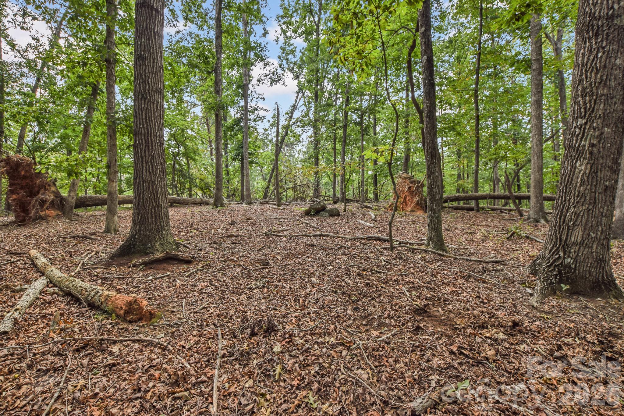 Acreage at 99999 Lail Road, Rutherfordton, photo 10 of 15
